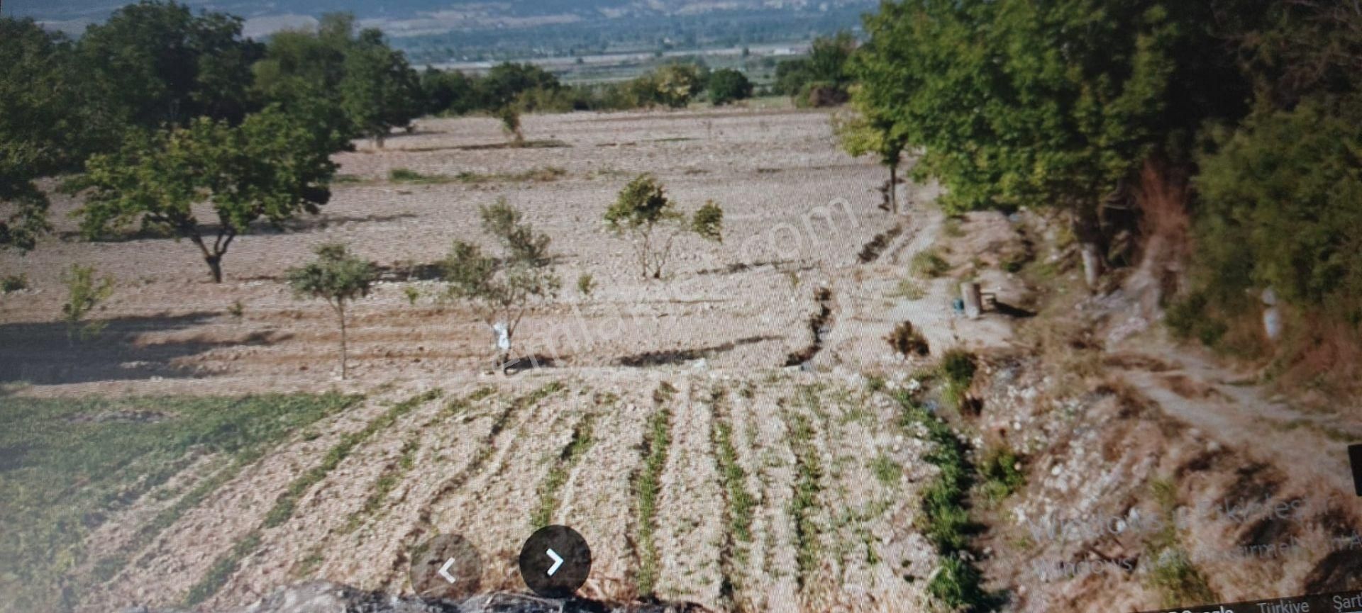 Denizli Goncalı Mahallesinde Sahibinden Satılık 13500 Mt Tarla