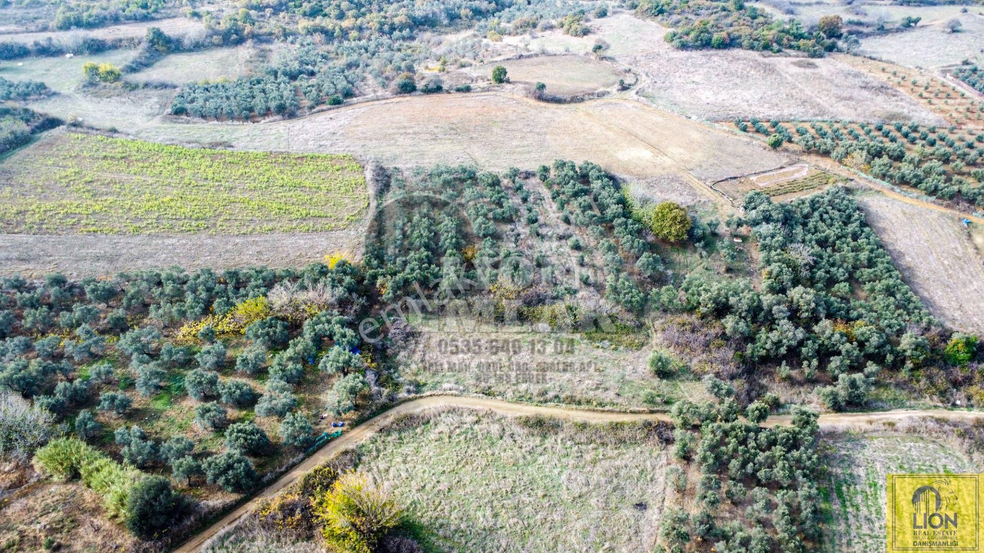 🟨⬛lıon Emlak'tan Erdek Karşıyaka Mahallesinde Musalla Mevkiinde 750m² Satılık Arazi⬛🟨 - Görsel 8