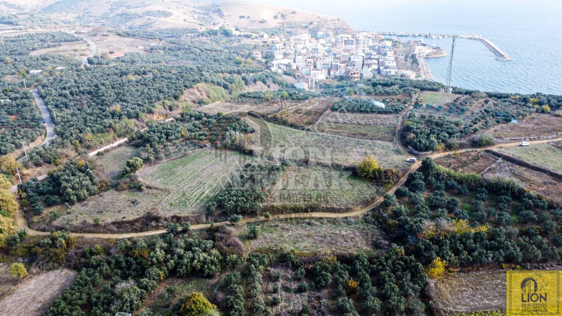 🟨⬛lıon Emlak'tan Erdek Karşıyaka Mahallesinde Musalla Mevkiinde 750m² Satılık Arazi⬛🟨 - Görsel 4