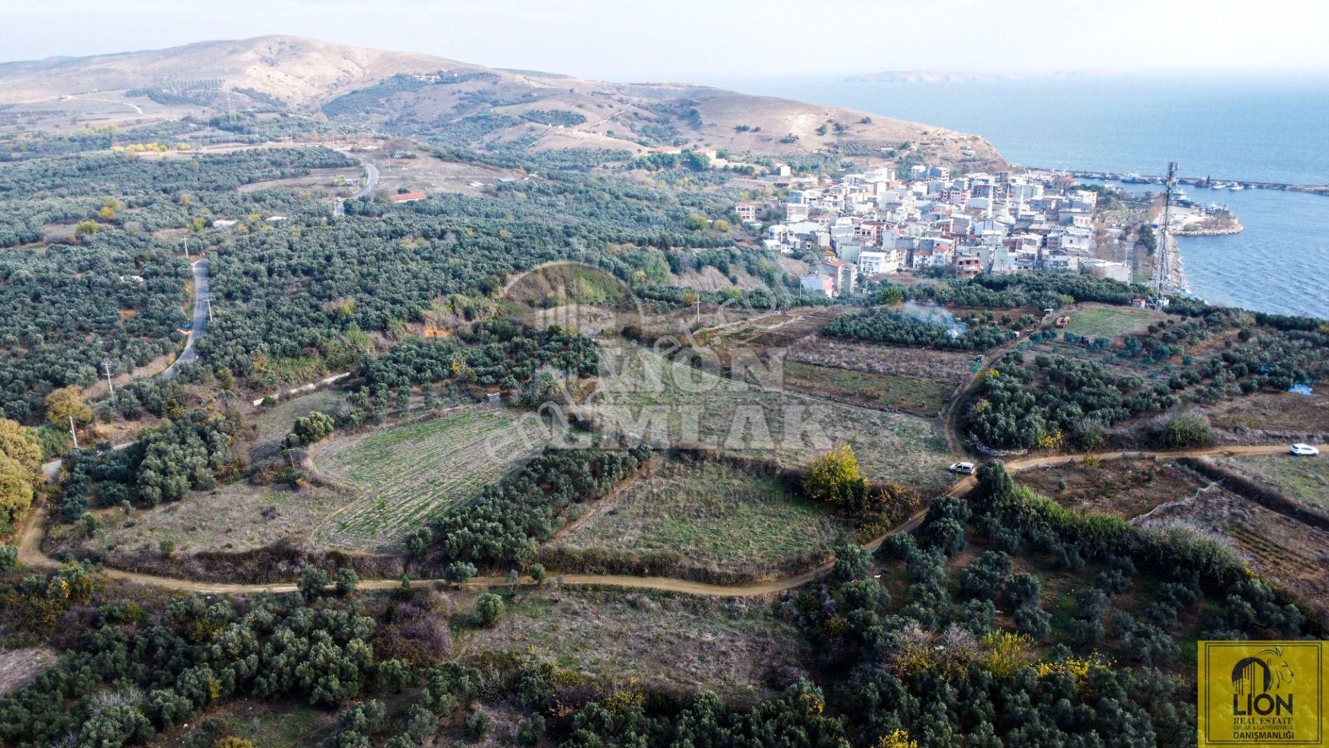 🟨⬛lıon Emlak'tan Erdek Karşıyaka Mahallesinde Musalla Mevkiinde 750m² Satılık Arazi⬛🟨 - Görsel 3