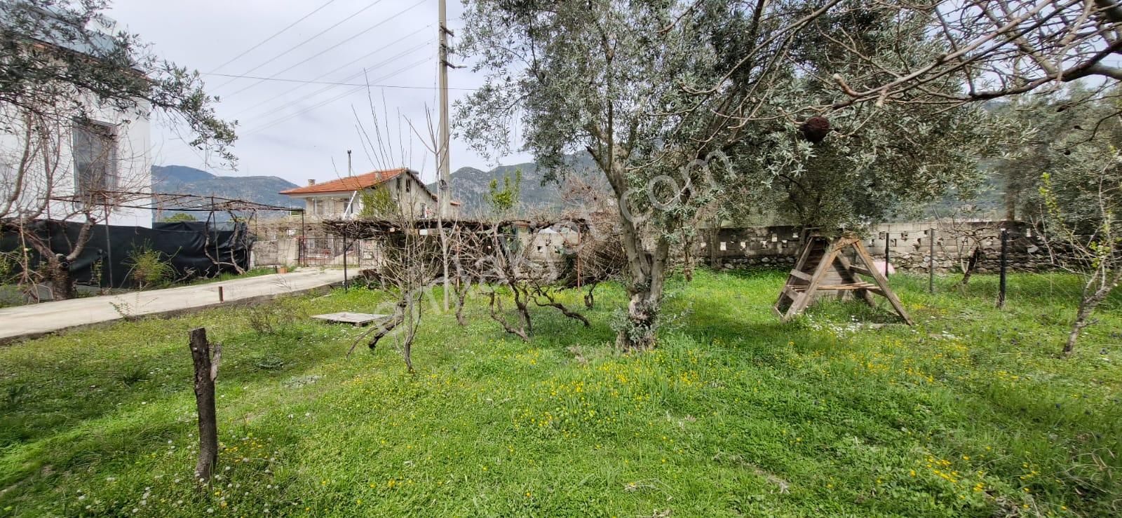 Goldhouse Dan Satılık Arsa Doğa Harikası Olan Yeşil Üzümlü De 624m2 - Görsel 19