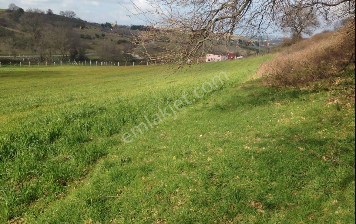 Arnavutköy Tayakadın Mahallesinde Yatırım Fırsatı. Satılık 10.060 M2 Tarla.