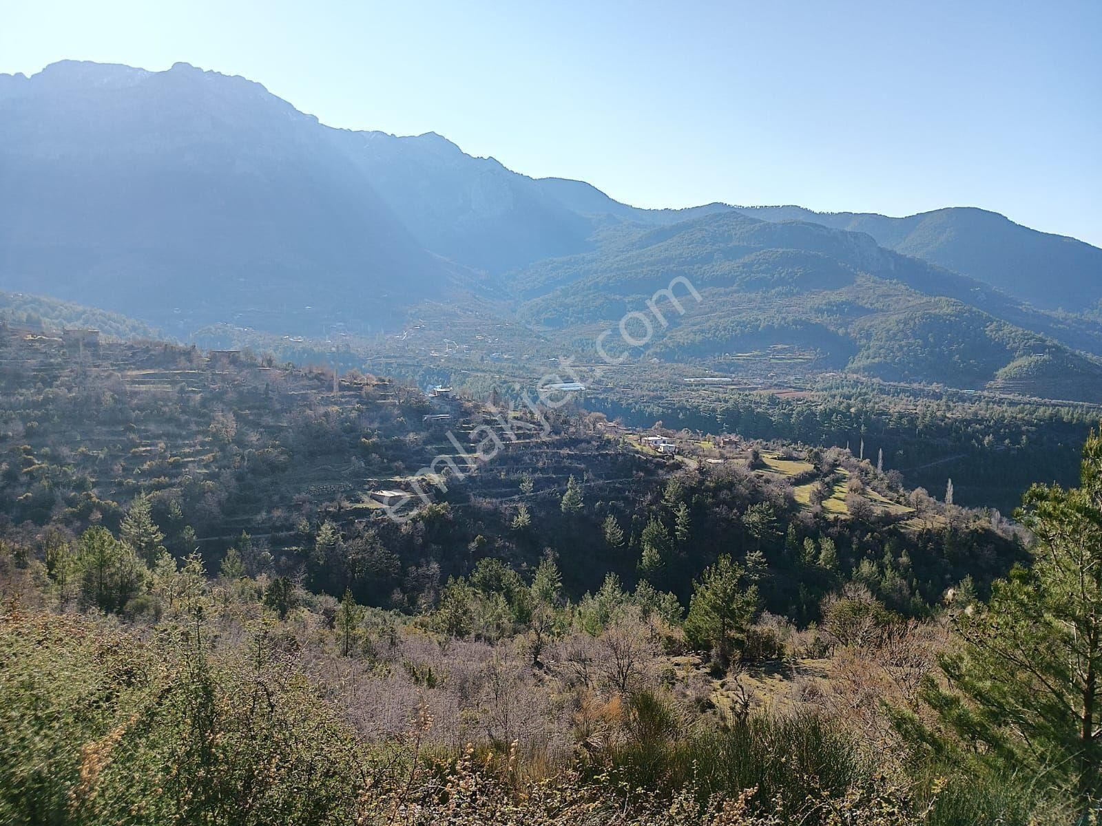 Ana Yol Kenarı 11 Dönüm Güney Cephe Tarla - Görsel 2