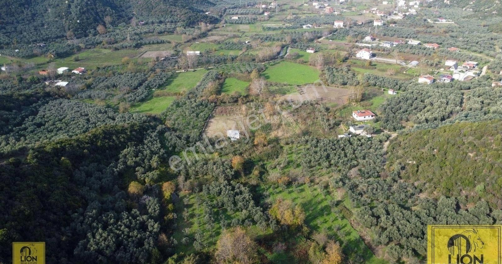 🟨⬛lıon Emlak'tan Erdek Doğanlar Mahallesinde Bungalov Ev Yapımına Uygun 771 M² Satılık Zeytinlik⬛🟨 - Görsel 7