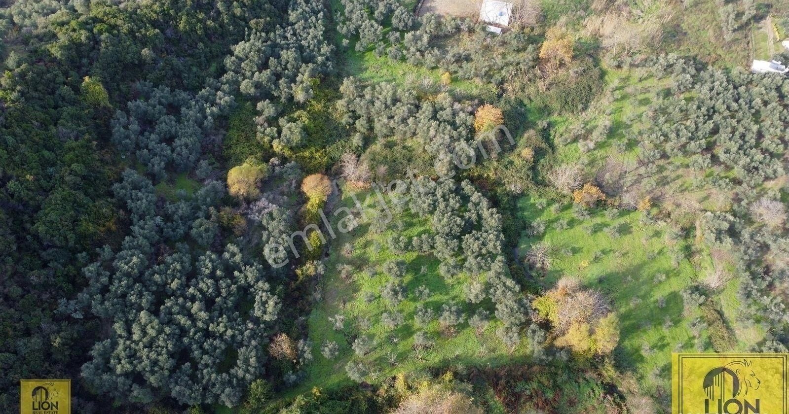 🟨⬛lıon Emlak'tan Erdek Doğanlar Mahallesinde Bungalov Ev Yapımına Uygun 771 M² Satılık Zeytinlik⬛🟨 - Görsel 9
