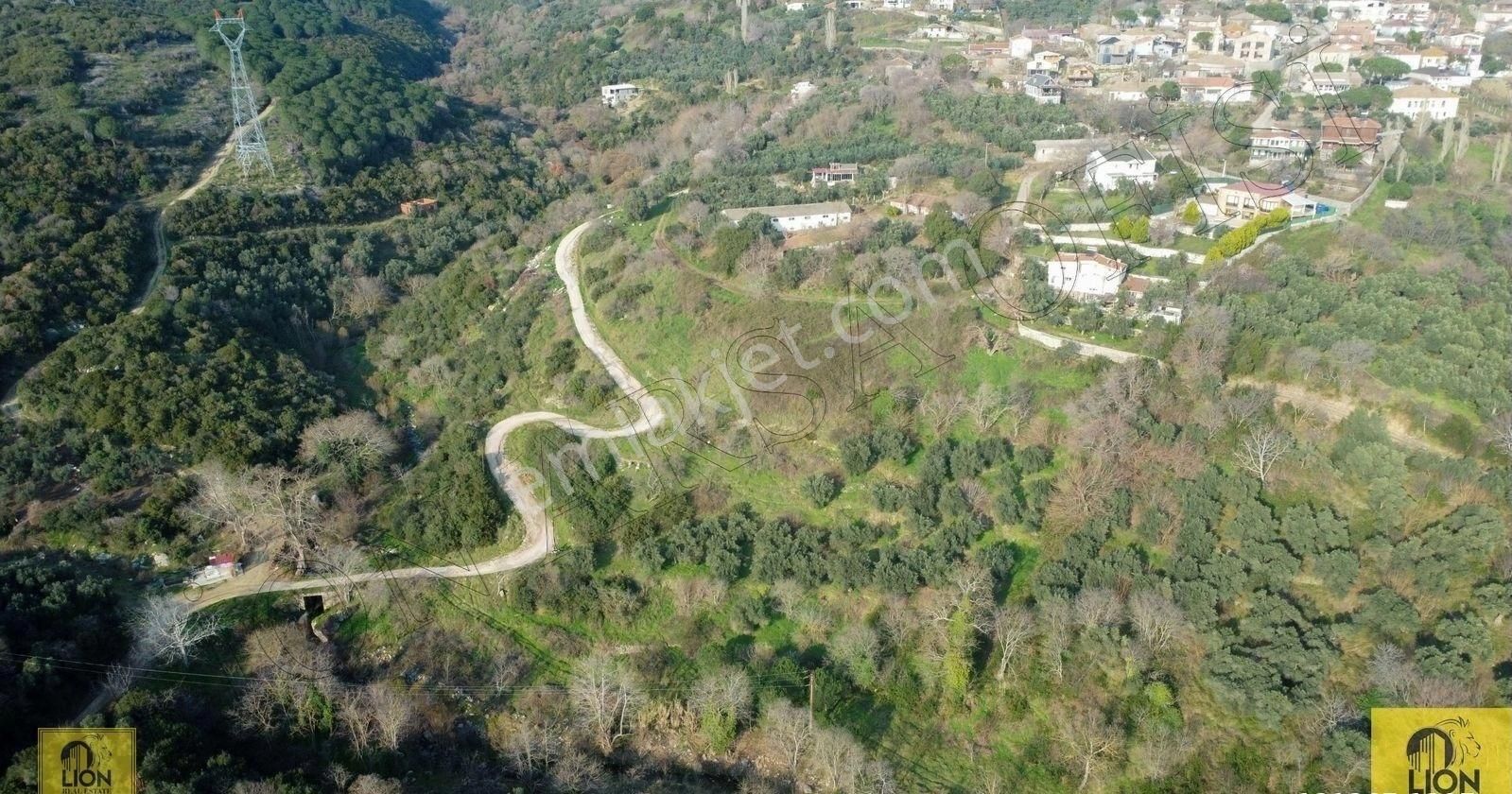 🟨⬛lıon Emlak'tan Erdek Hamamlı Mahallesi Köye Yakın Yola Cephe 2.429m² Yatırımlık Zeytinlik⬛🟨 - Görsel 14