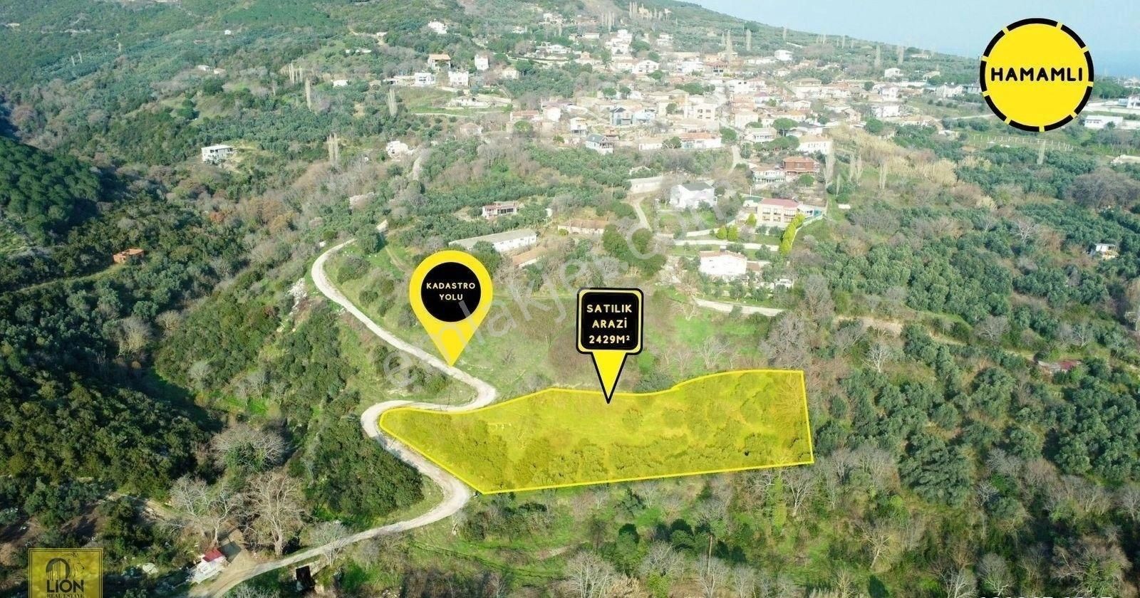 🟨⬛lıon Emlak'tan Erdek Hamamlı Mahallesi Köye Yakın Yola Cephe 2.429m² Yatırımlık Zeytinlik⬛🟨 - Görsel 2