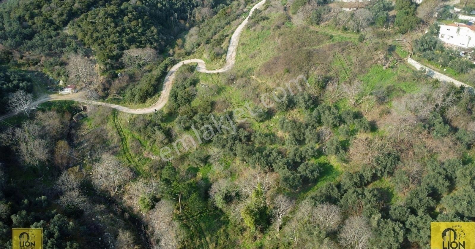 🟨⬛lıon Emlak'tan Erdek Hamamlı Mahallesi Köye Yakın Yola Cephe 2.429m² Yatırımlık Zeytinlik⬛🟨 - Görsel 8