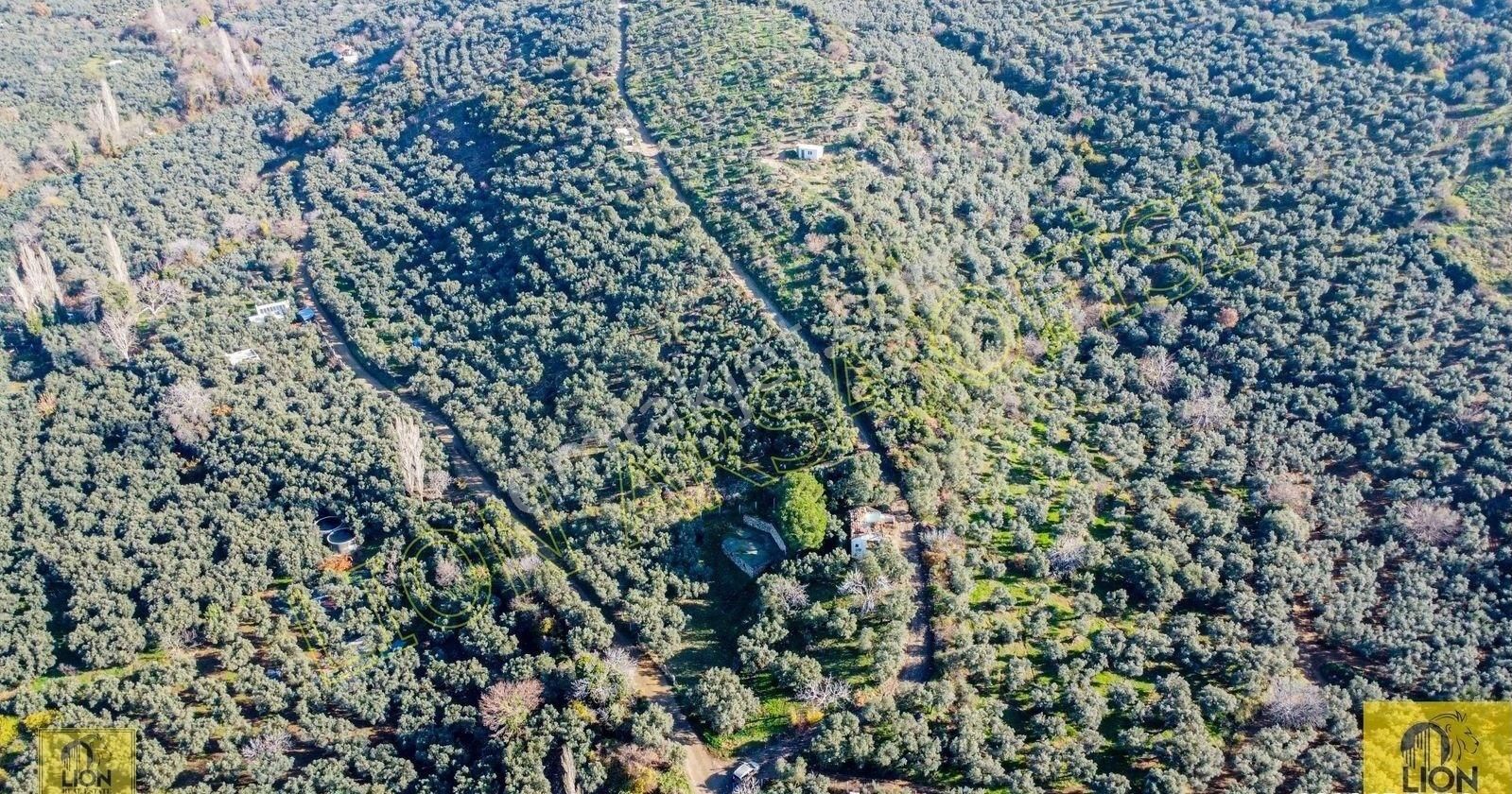 🟨⬛lıon Emlak'tan Erdek Atatürk Mahallesi Kadastro Yoluna Yakın Yatırımlık2296m²satılık Zeytinlik⬛🟨 - Görsel 9