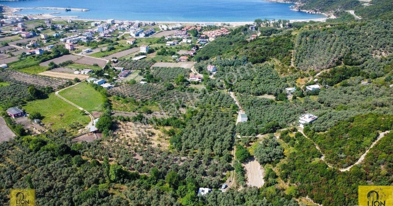 🟨⬛lıon Emlak'tan Erdek Turan Mahallesi Dermen Mevkiinde Merkezi Konumlu 2344m² Satılık Zeytinlik⬛🟨 - Görsel 10