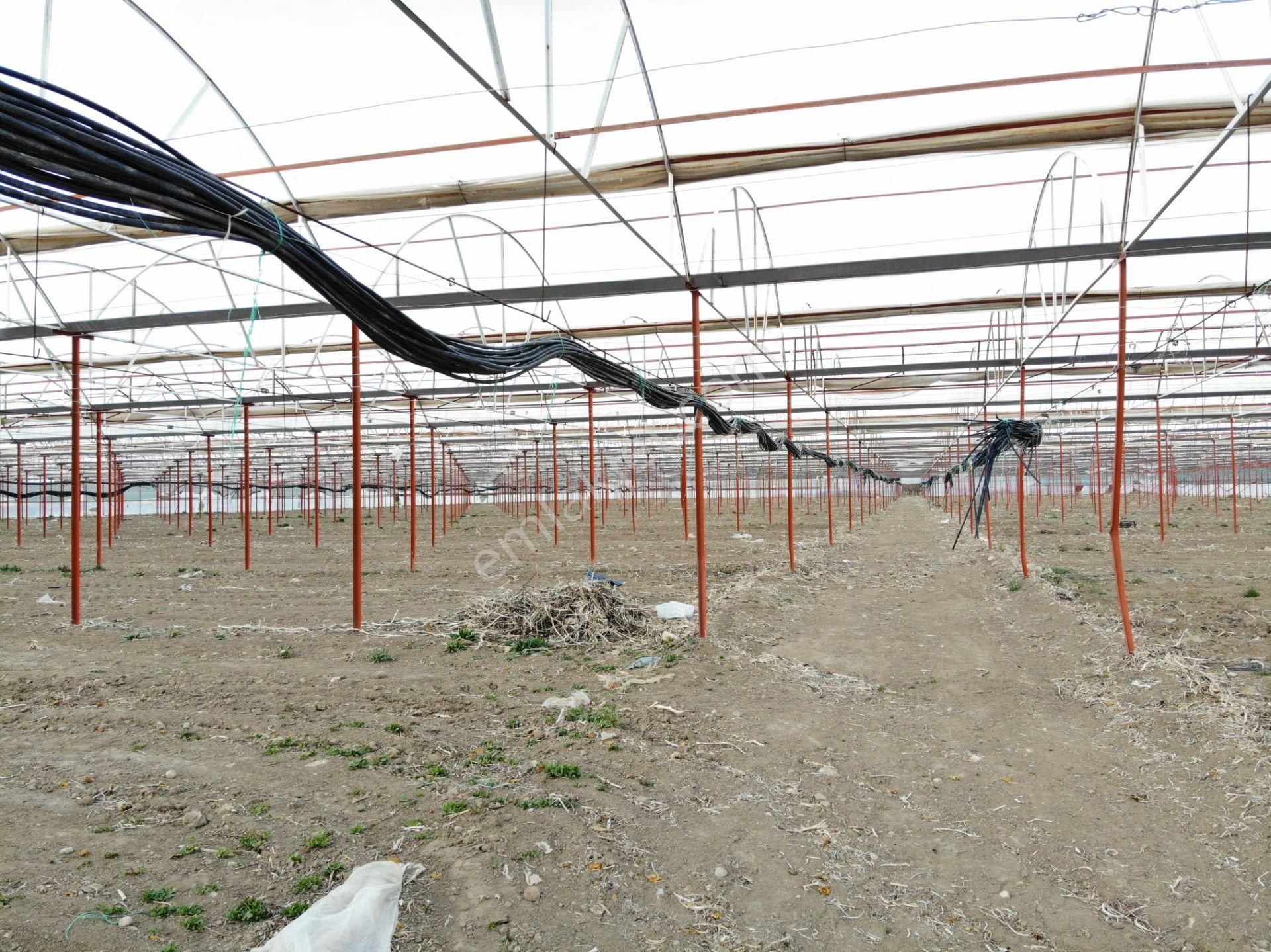 Antalya Elmalı Zümrütova Mah'de Elektriği, Sondajı Ve Yolu Bulunan 17.910m2 Satılık Kapalı Sera - Görsel 10