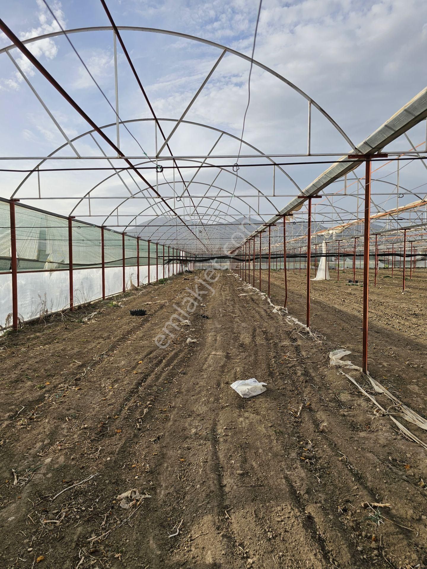 Antalya Elmalı Zümrütova Mah'de Elektriği, Sondajı Ve Yolu Bulunan 17.910m2 Satılık Kapalı Sera - Görsel 7