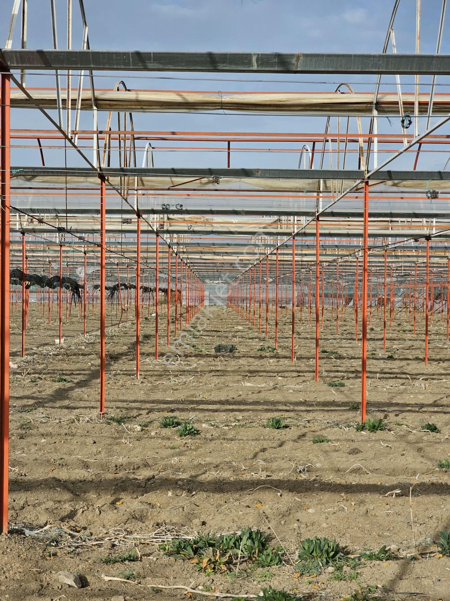 Antalya Elmalı Zümrütova Mah'de Elektriği, Sondajı Ve Yolu Bulunan 17.910m2 Satılık Kapalı Sera - Görsel 9