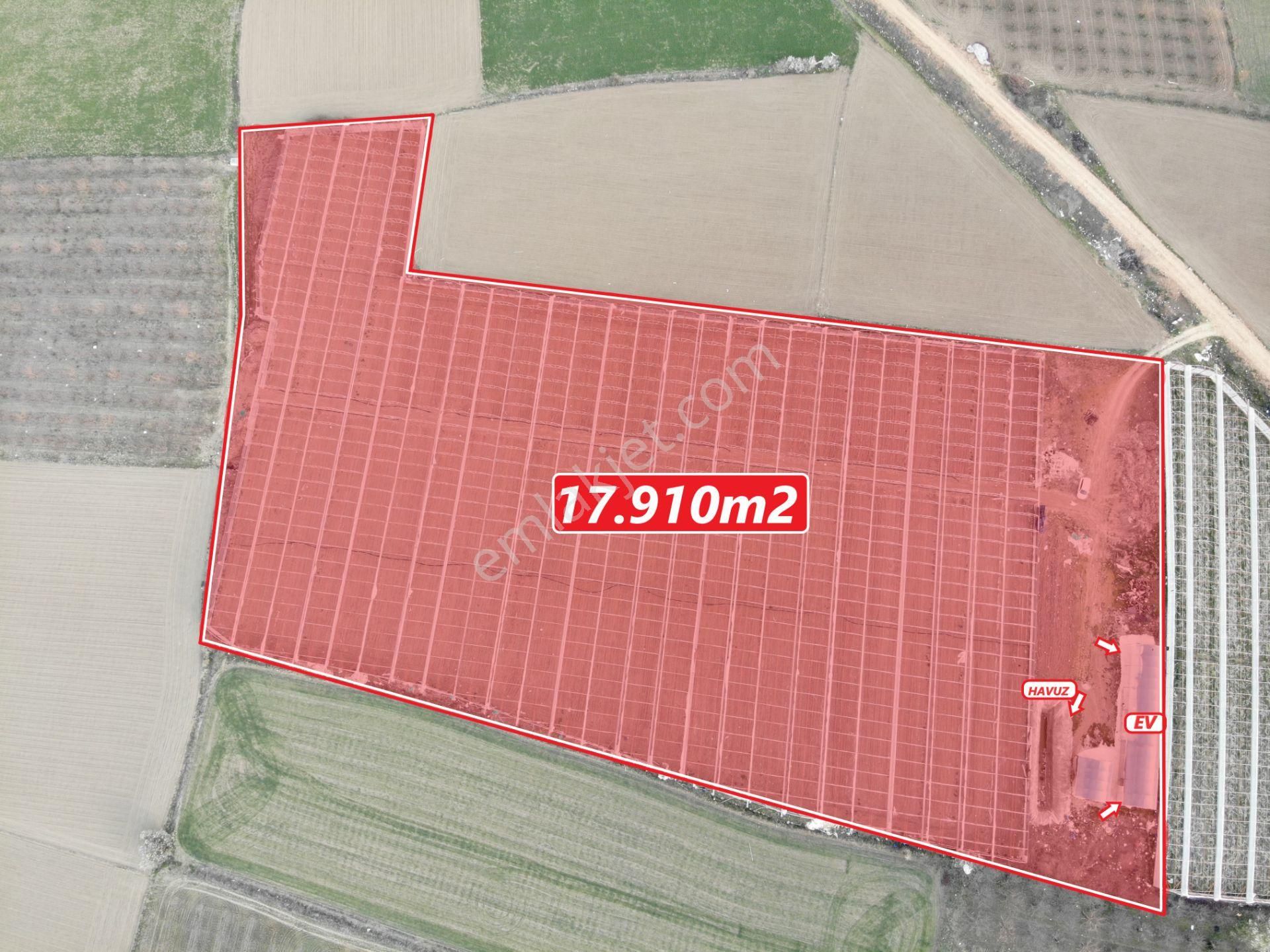 Antalya Elmalı Zümrütova Mah'de Elektriği, Sondajı Ve Yolu Bulunan 17.910m2 Satılık Kapalı Sera - Görsel 3