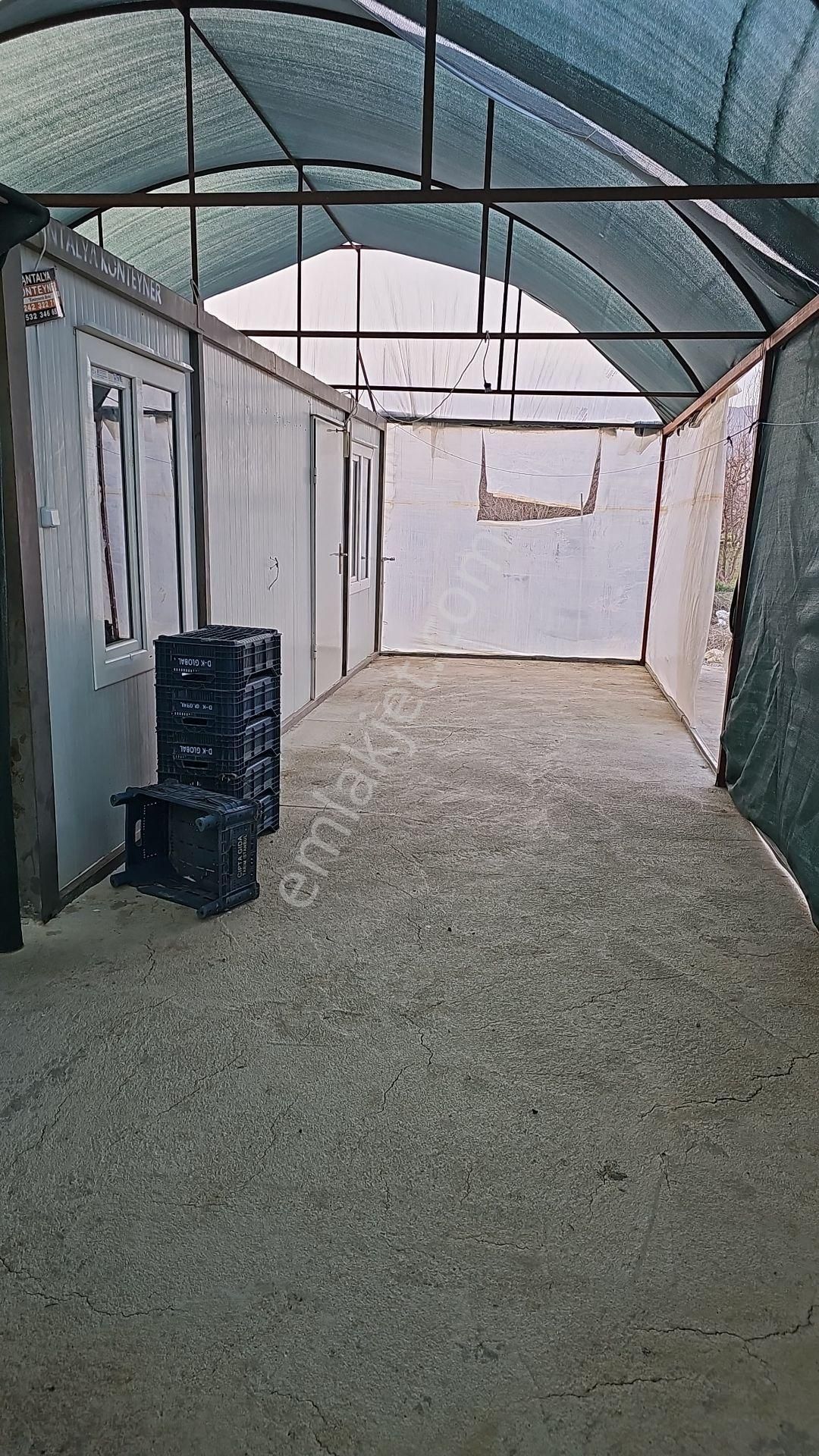 Antalya Elmalı Zümrütova Mah'de Elektriği, Sondajı Ve Yolu Bulunan 17.910m2 Satılık Kapalı Sera - Görsel 11