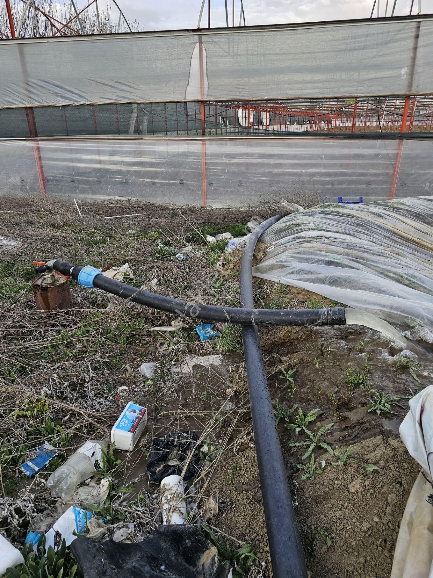 Antalya Elmalı Zümrütova Mah'de Elektriği, Sondajı Ve Yolu Bulunan 17.910m2 Satılık Kapalı Sera - Görsel 16