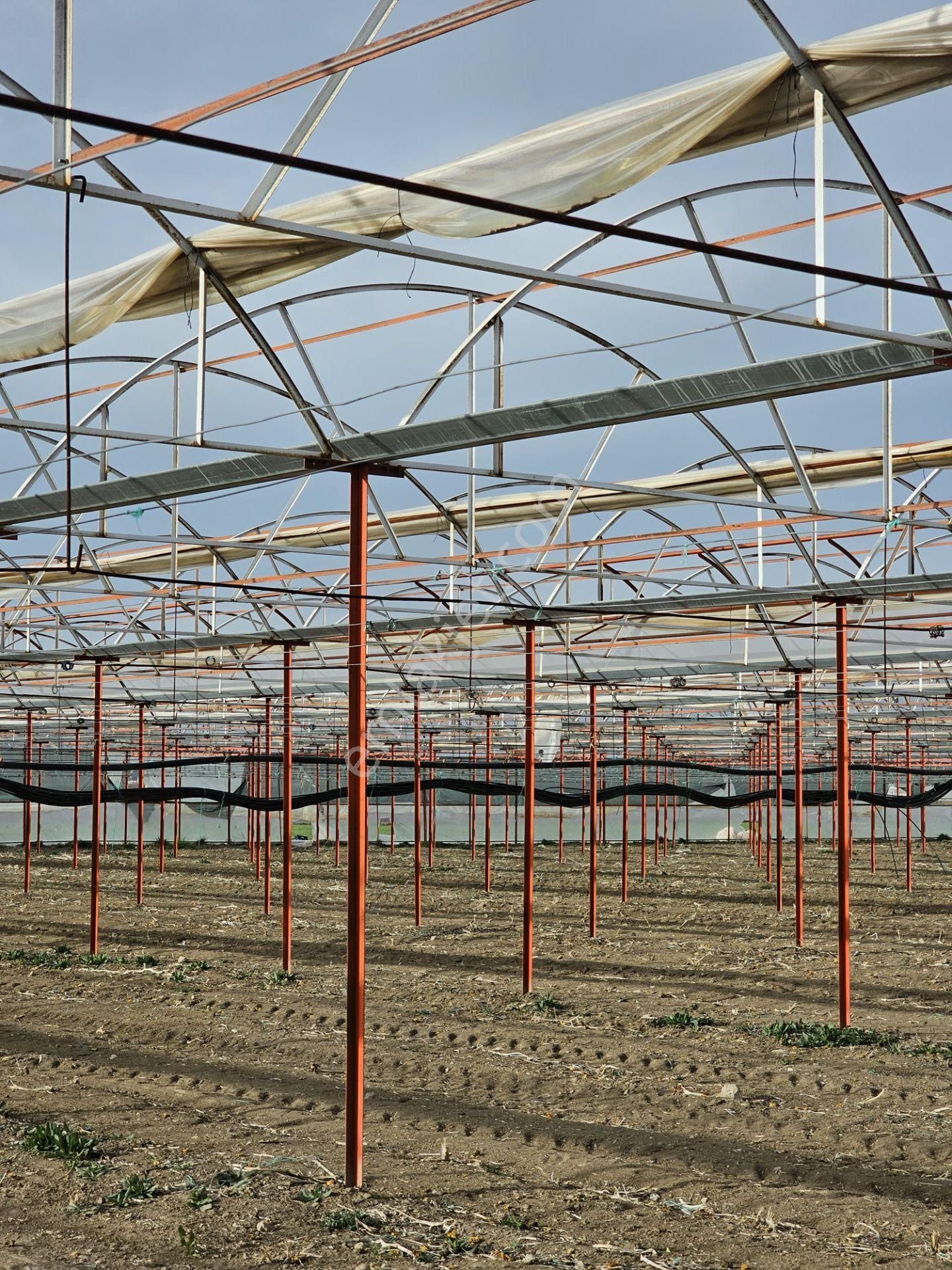 Antalya Elmalı Zümrütova Mah'de Elektriği, Sondajı Ve Yolu Bulunan 17.910m2 Satılık Kapalı Sera - Görsel 15