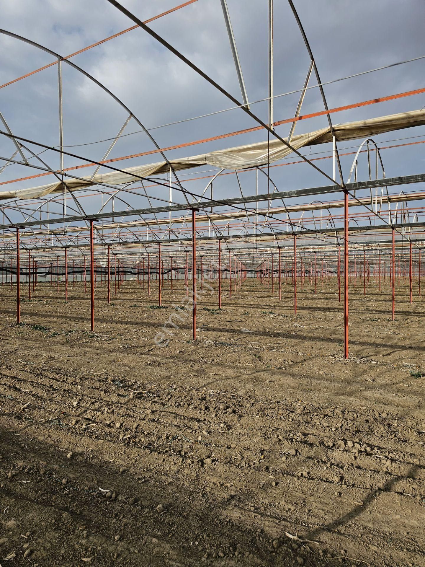 Antalya Elmalı Zümrütova Mah'de Elektriği, Sondajı Ve Yolu Bulunan 17.910m2 Satılık Kapalı Sera - Görsel 18