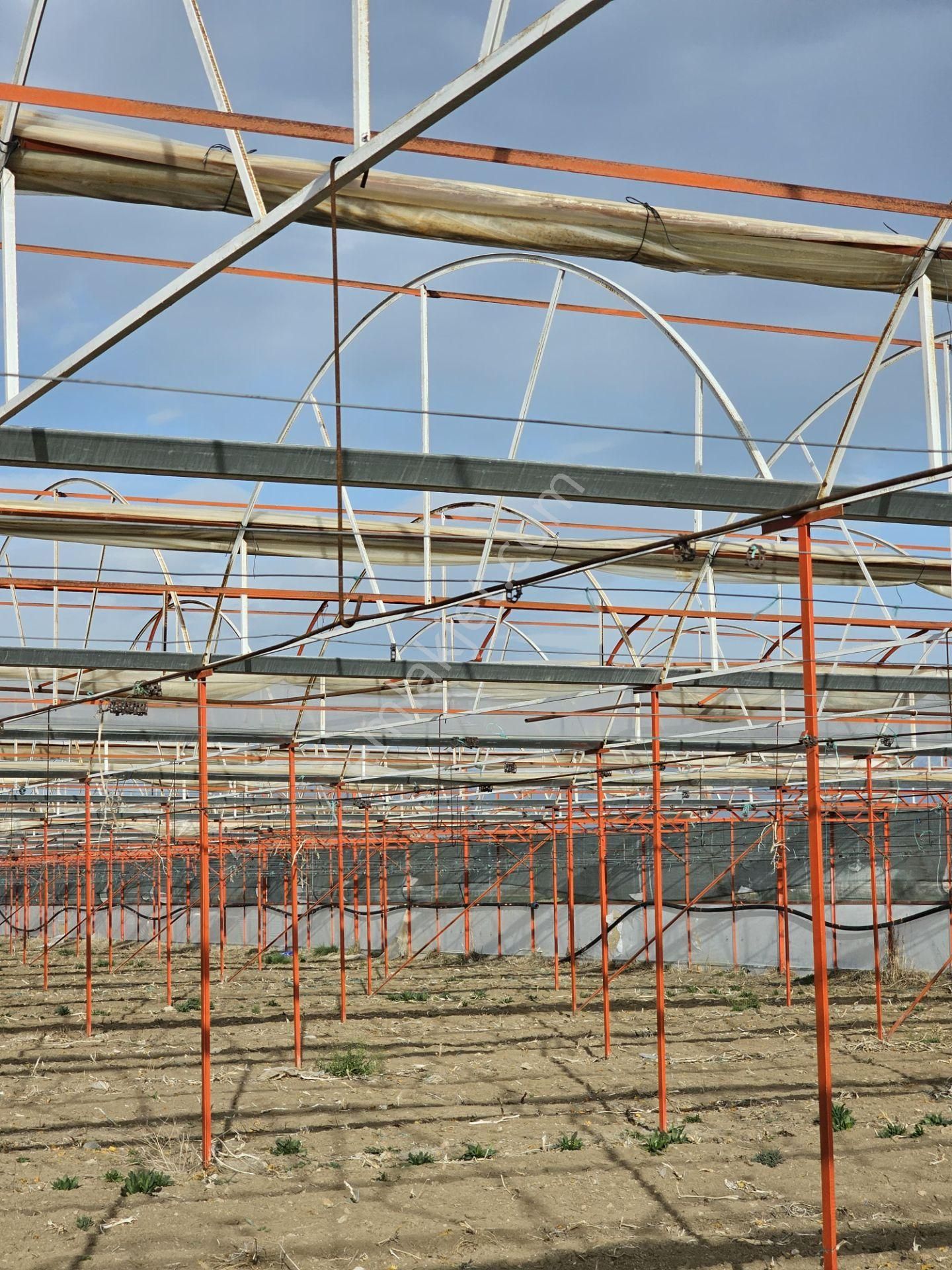 Antalya Elmalı Zümrütova Mah'de Elektriği, Sondajı Ve Yolu Bulunan 17.910m2 Satılık Kapalı Sera - Görsel 17