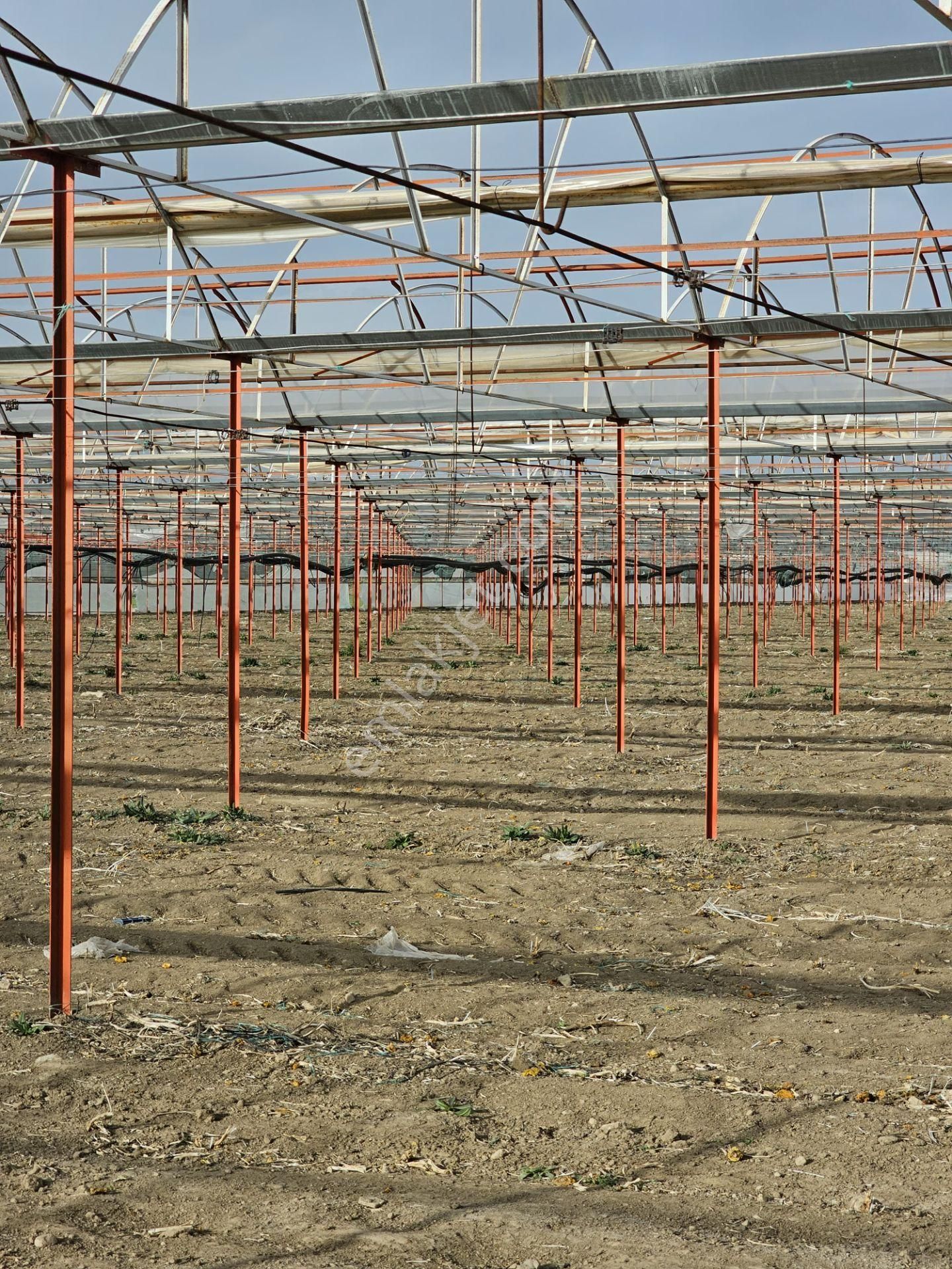 Antalya Elmalı Zümrütova Mah'de Elektriği, Sondajı Ve Yolu Bulunan 17.910m2 Satılık Kapalı Sera - Görsel 8
