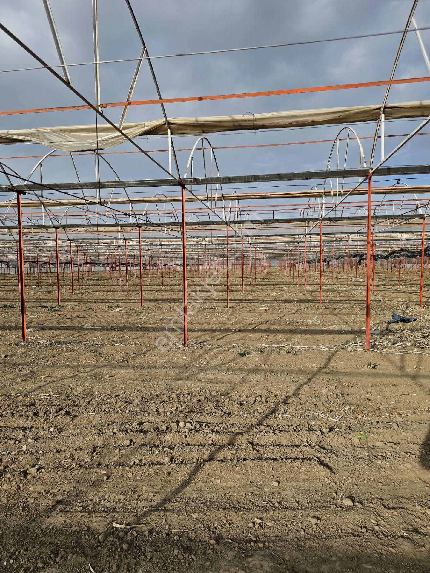 Antalya Elmalı Zümrütova Mah'de Elektriği, Sondajı Ve Yolu Bulunan 17.910m2 Satılık Kapalı Sera - Görsel 6