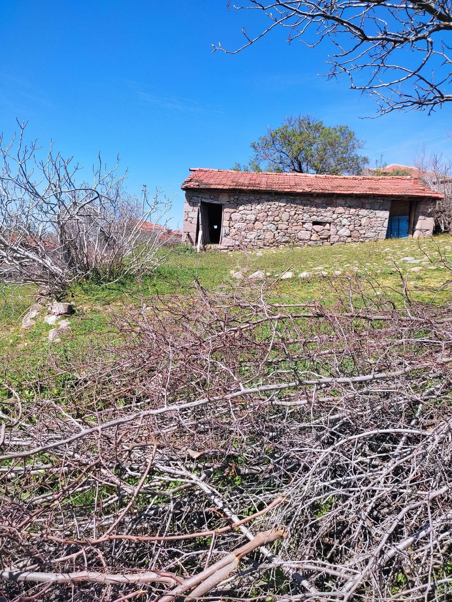 İzmir Bergama Durmuşlar Mah 294 M2 Müstakil Bahçeli Taş Ev - Görsel 2