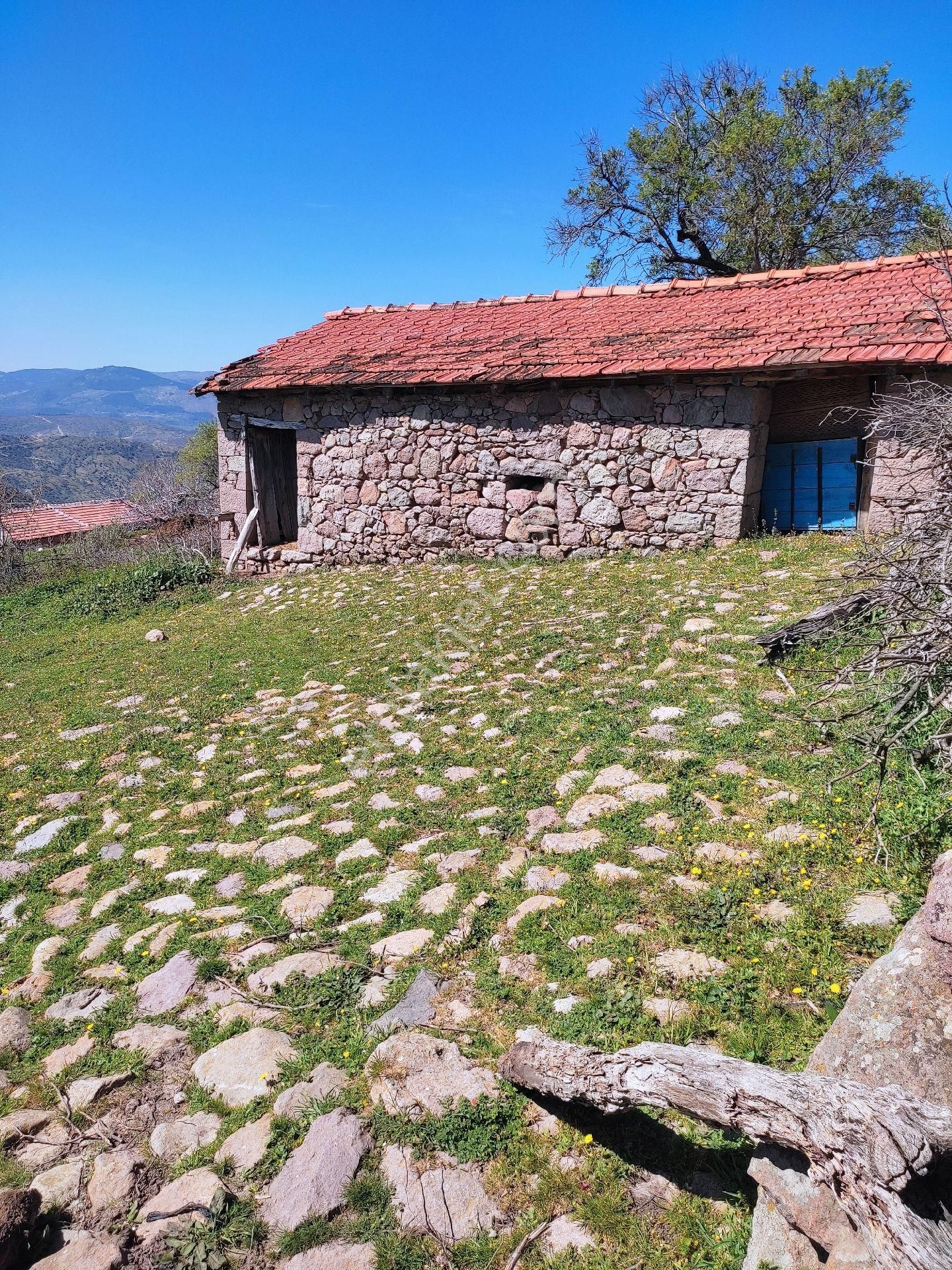 İzmir Bergama Durmuşlar Mah 294 M2 Müstakil Bahçeli Taş Ev - Görsel 5