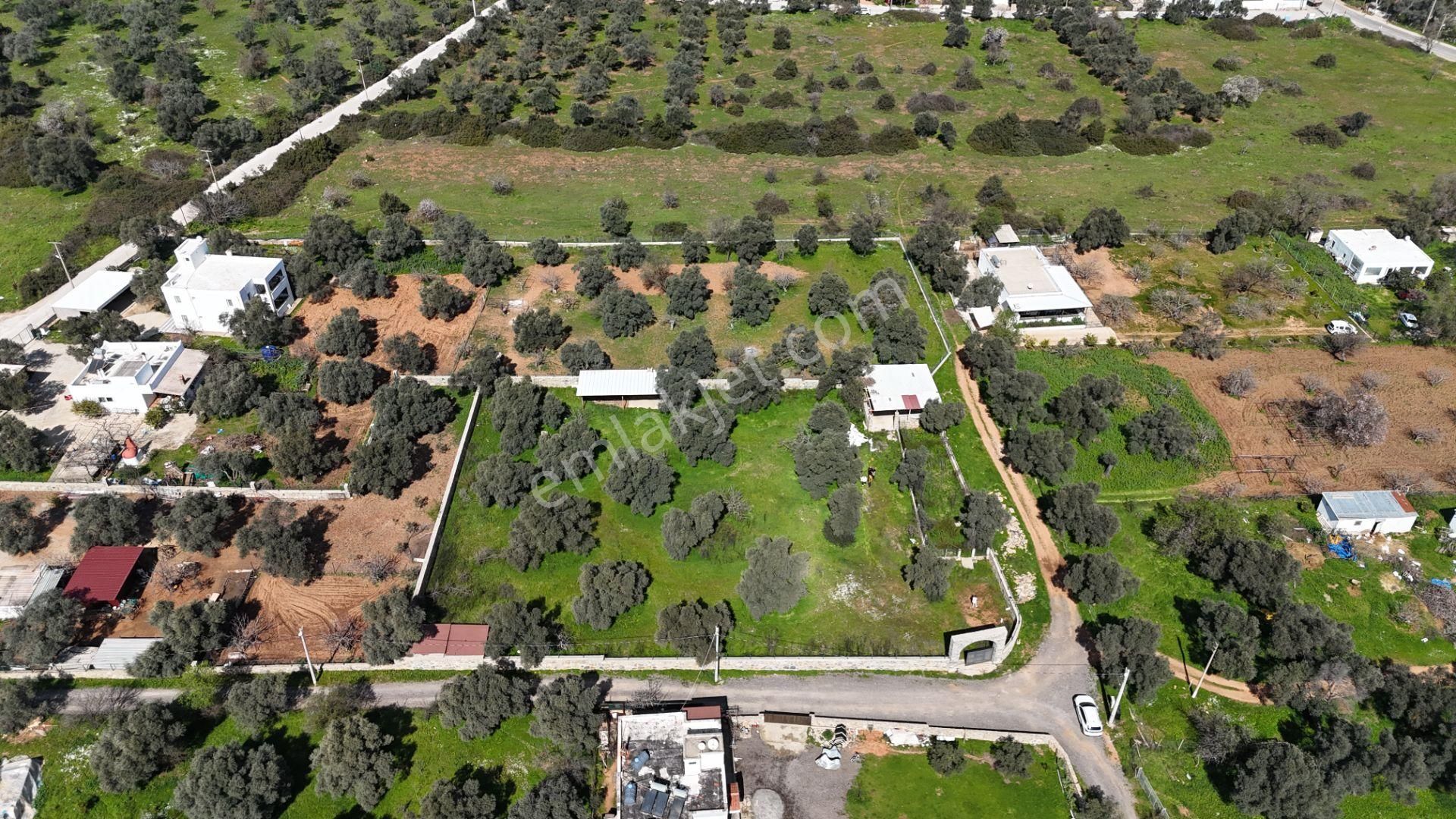 Bodrum Kızılağaçta 3000m² Satılık Arsa - Görsel 10