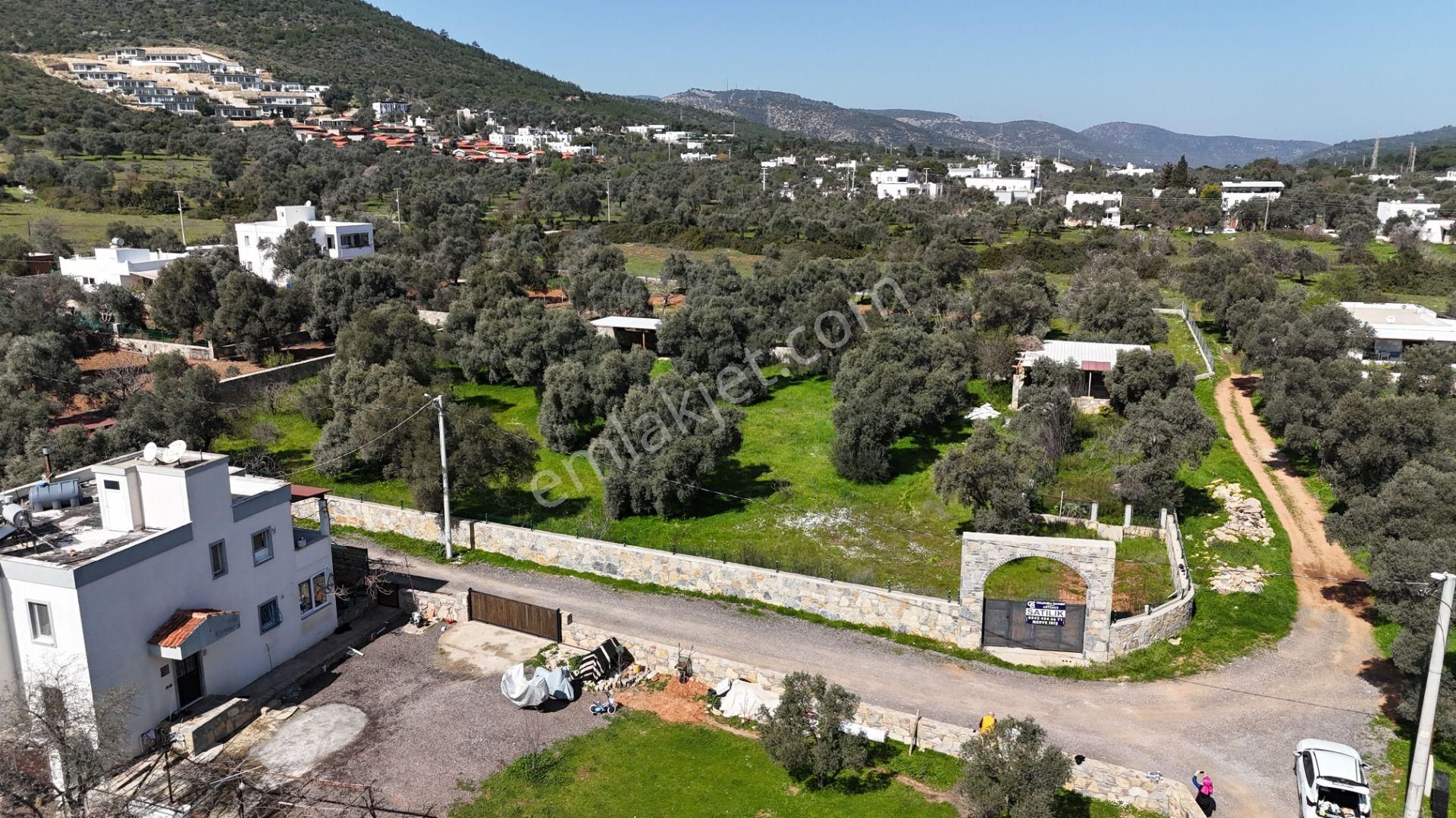Bodrum Kızılağaçta 3000m² Satılık Arsa - Görsel 16