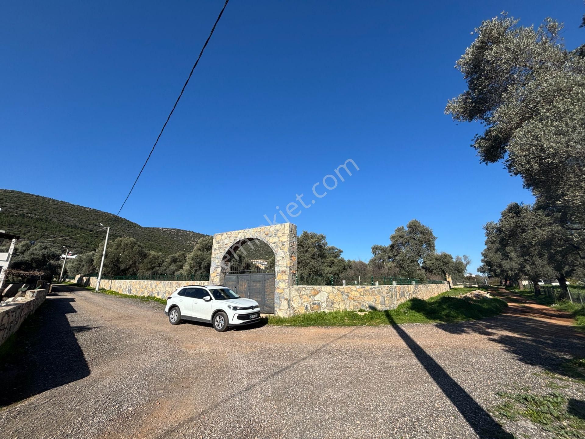 Bodrum Kızılağaçta 3000m² Satılık Arsa - Görsel 20