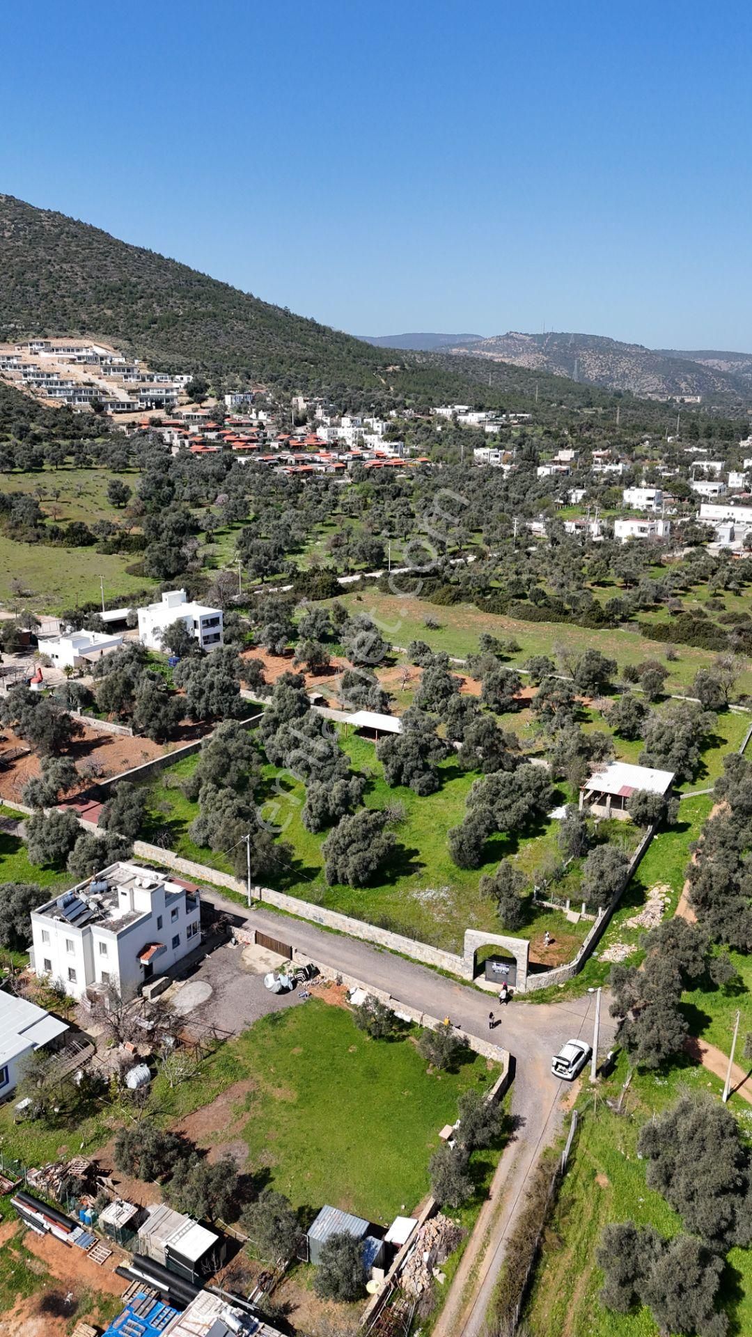 Bodrum Kızılağaçta 3000m² Satılık Arsa - Görsel 14