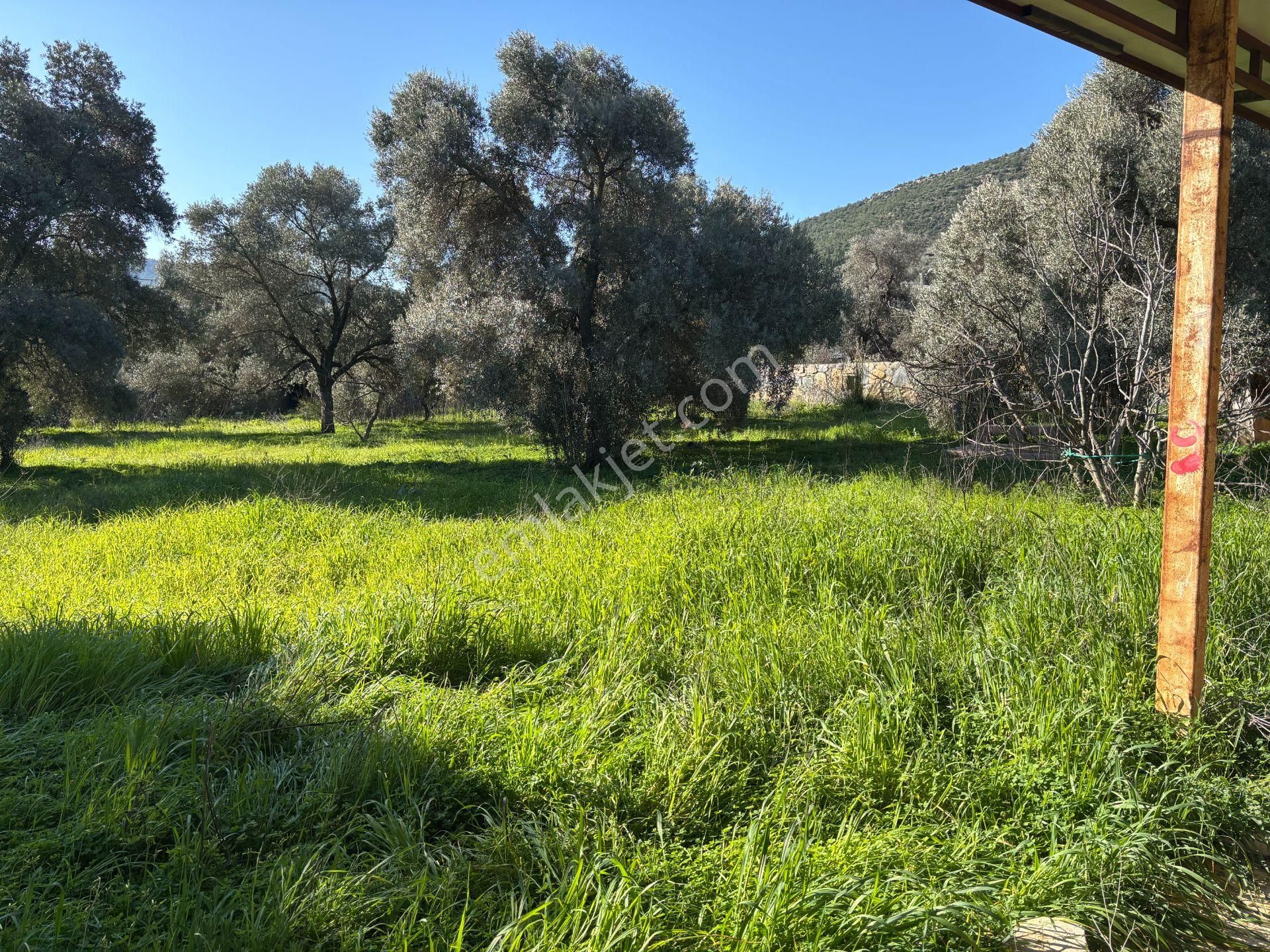 Bodrum Kızılağaçta 3000m² Satılık Arsa - Görsel 19