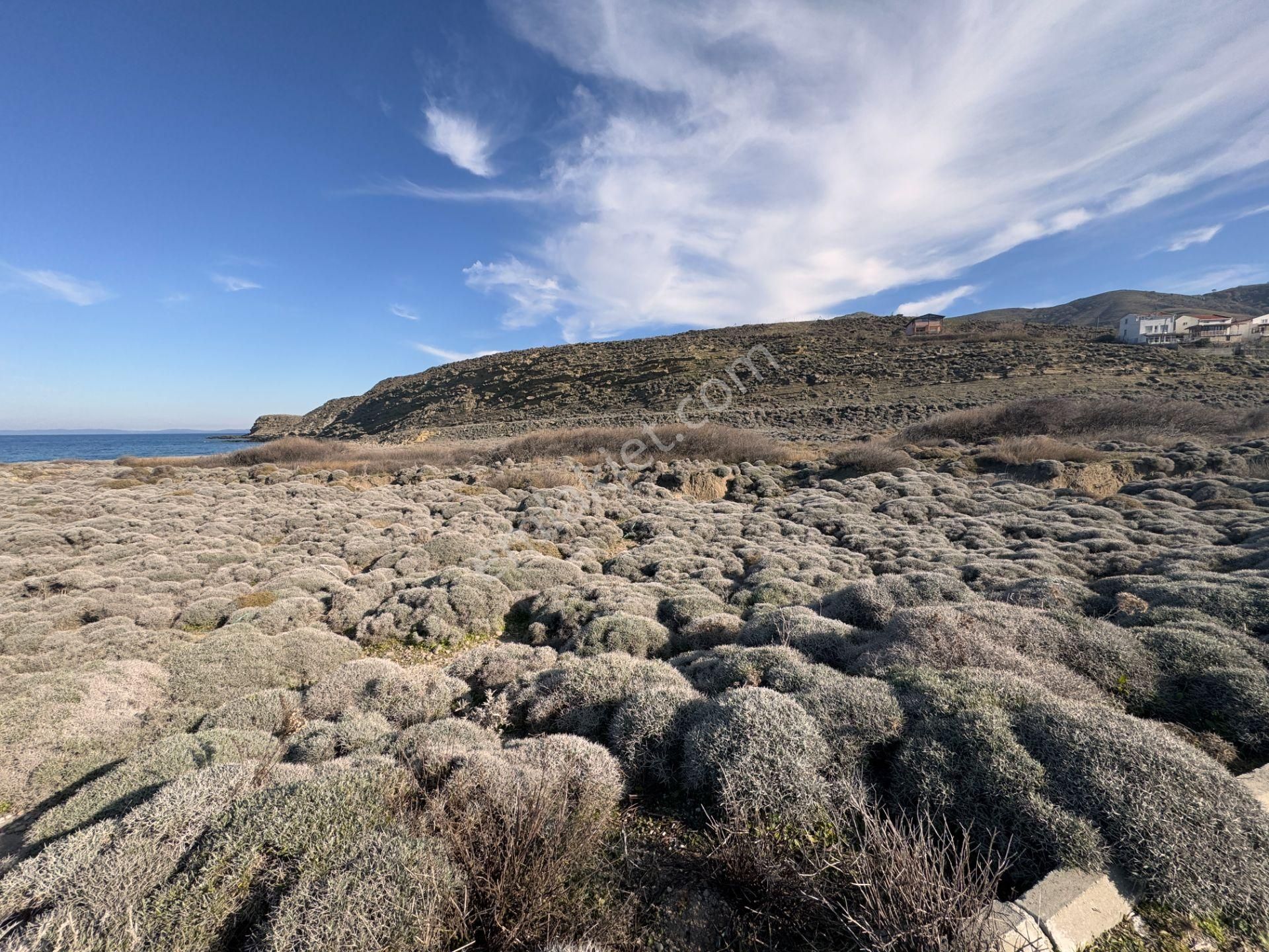 Gökçeada Kuzulimanında 4730 M2 Satılık Turizm İmarlı Arsa - Görsel 5