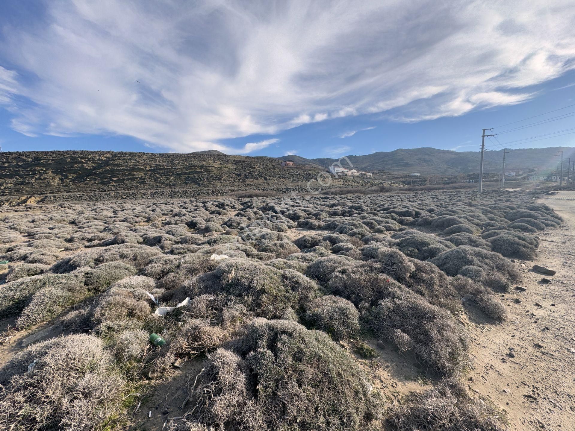 Gökçeada Kuzulimanında 4730 M2 Satılık Turizm İmarlı Arsa - Görsel 28