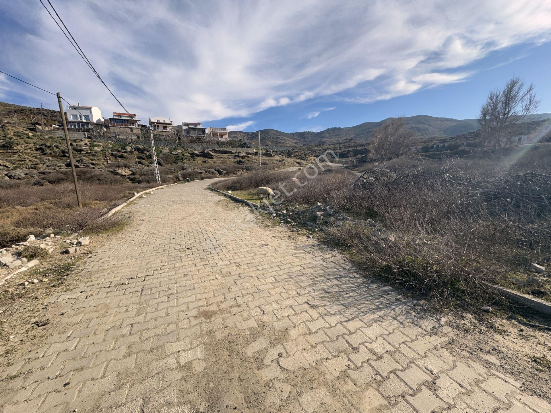 Gökçeada Kuzulimanında 4730 M2 Satılık Turizm İmarlı Arsa - Görsel 14