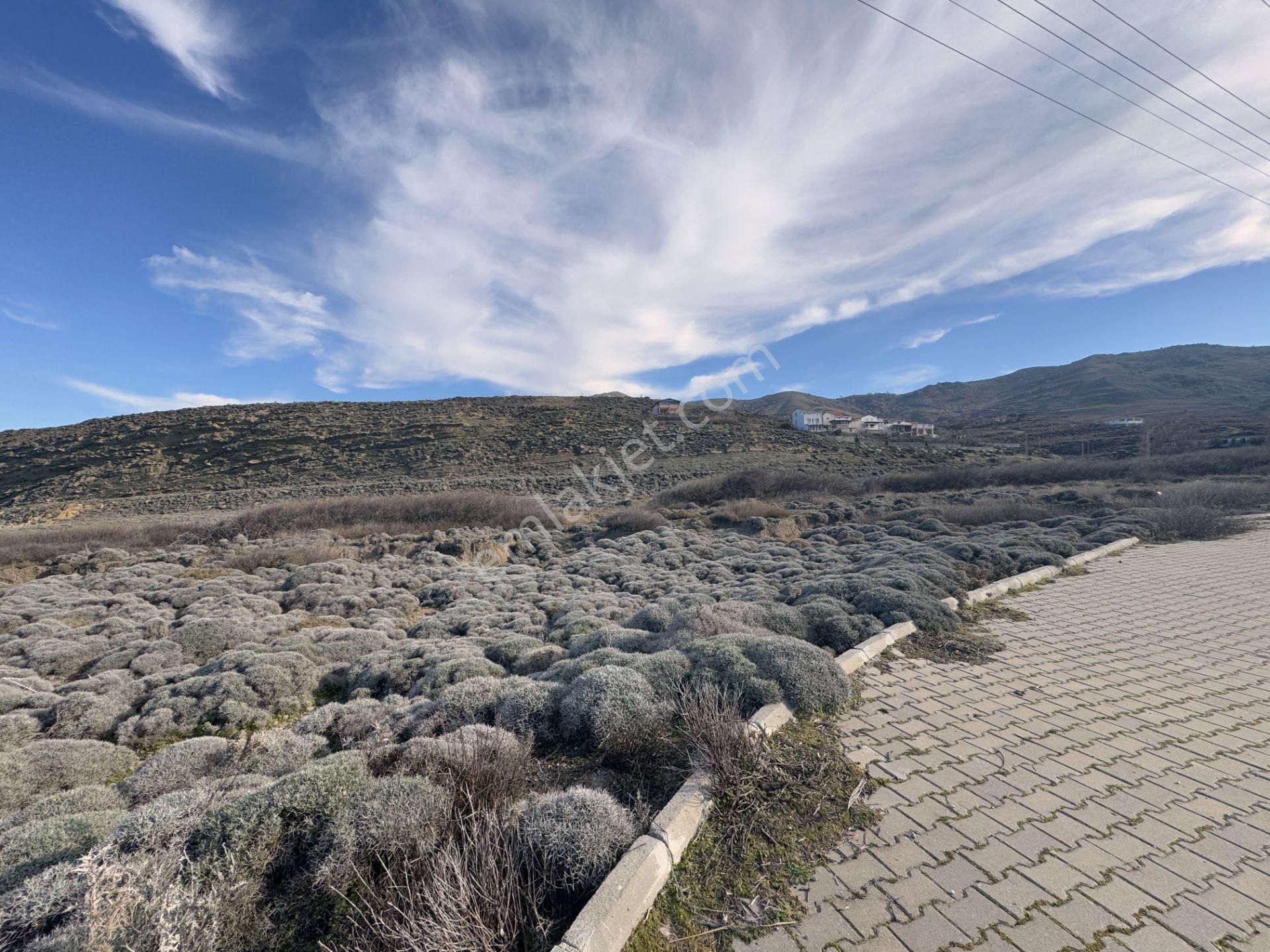 Gökçeada Kuzulimanında 4730 M2 Satılık Turizm İmarlı Arsa - Görsel 24