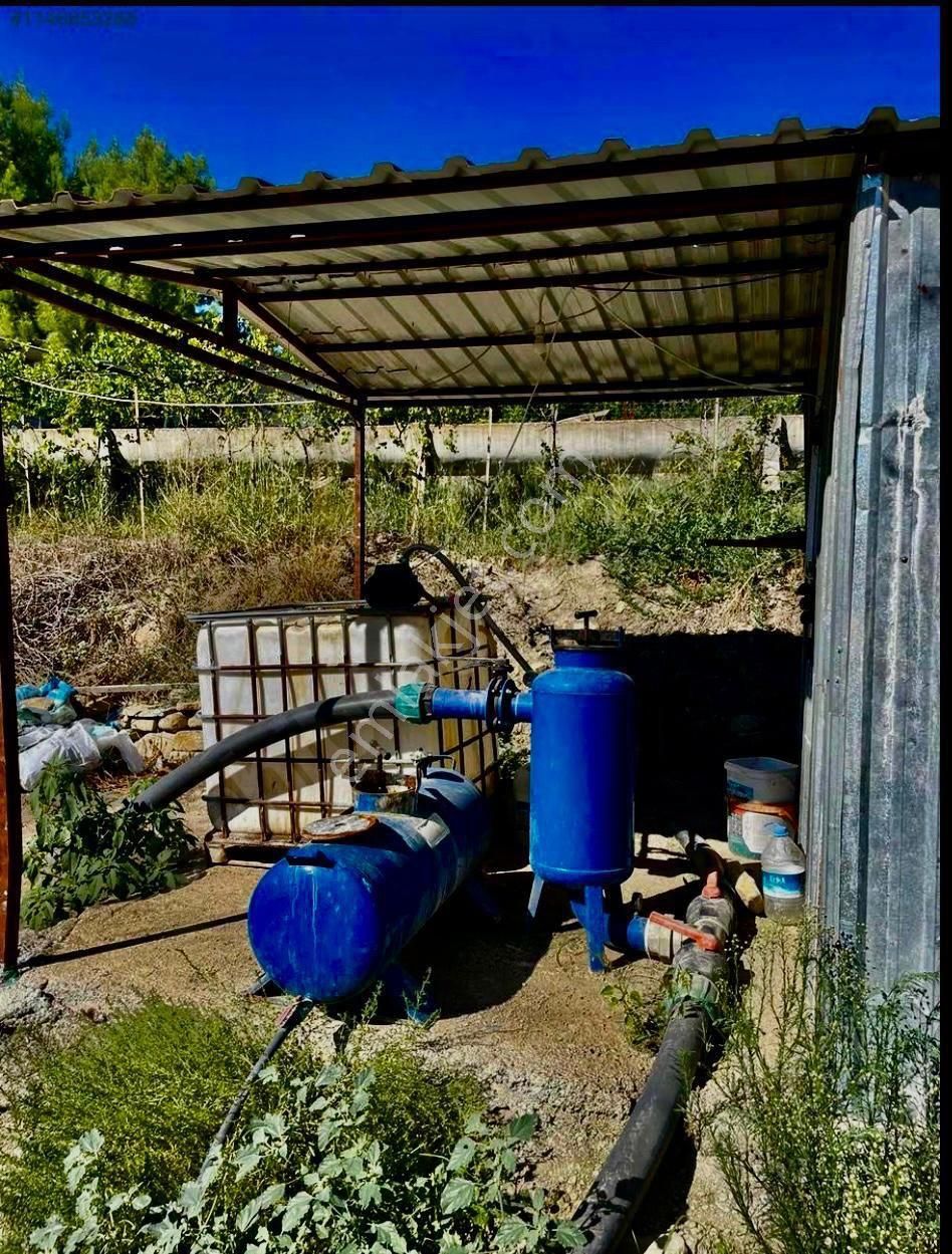 Antalya/serik/manavgat Çevresinde Tek Tapu 85 Dönüm Sera,çiftlik,ejder,avakado,sera - Görsel 5