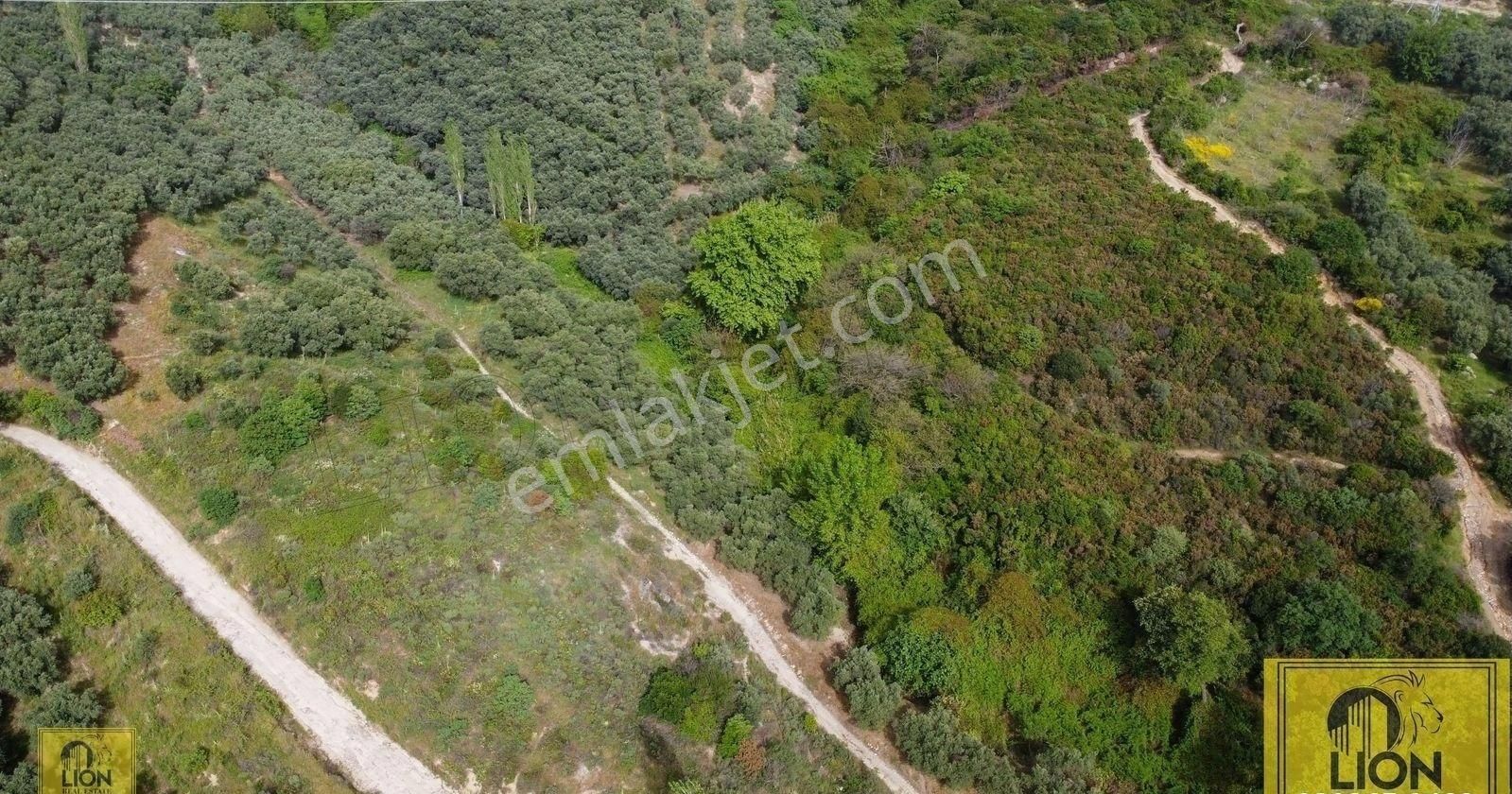 🟨⬛lıon Emlak'tan Erdek Ocaklar Mahallesi Kadastro Yoluna 57m Cepheli 1625m² Satılık Zeytinlik⬛🟨 - Görsel 4