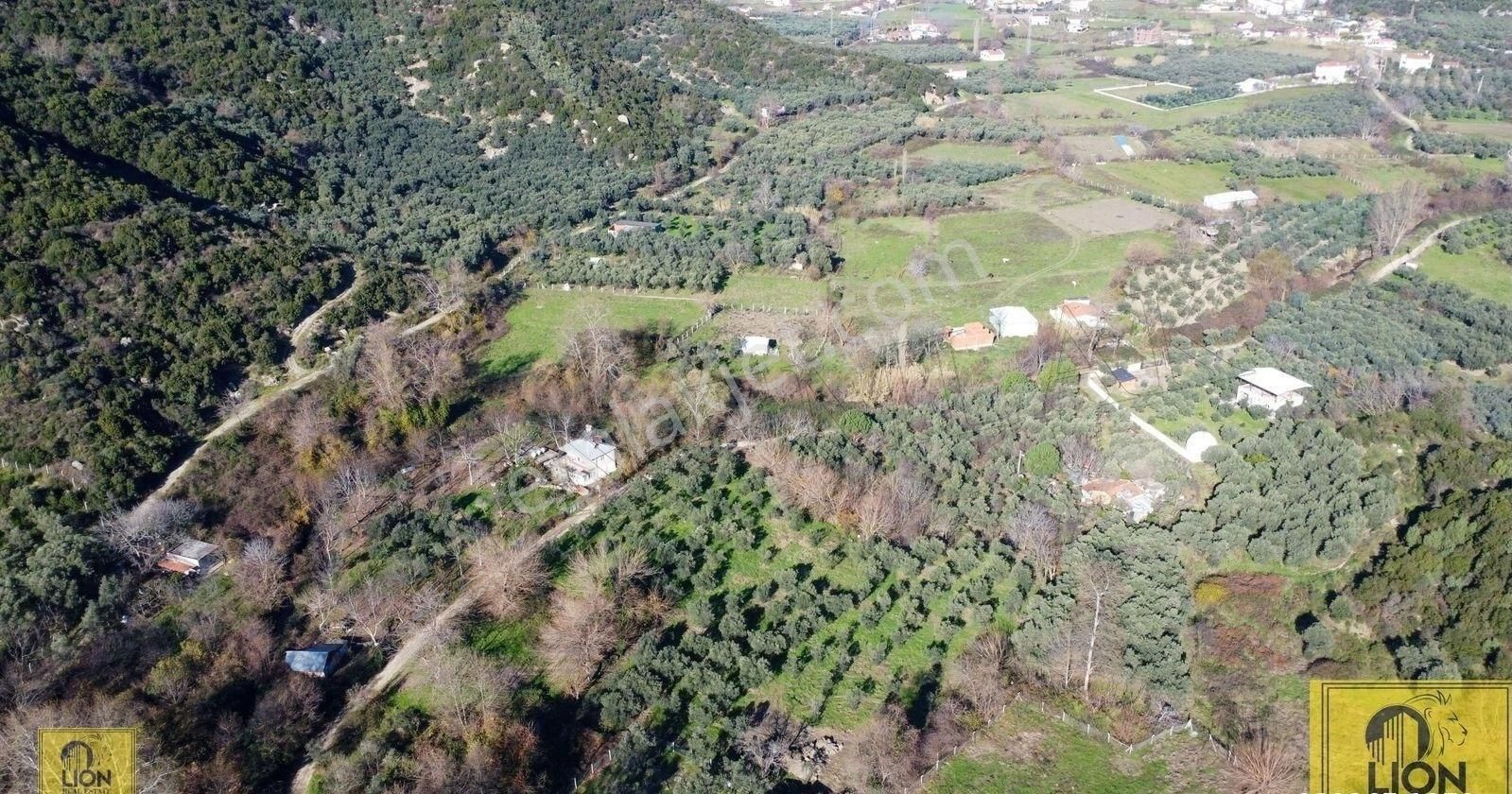 🟨⬛lıon Emlak'tan Erdek Doğanlar Mahallesinde 3830 M² Yola Cephe Satılık Zeytinlik⬛🟨 - Görsel 2
