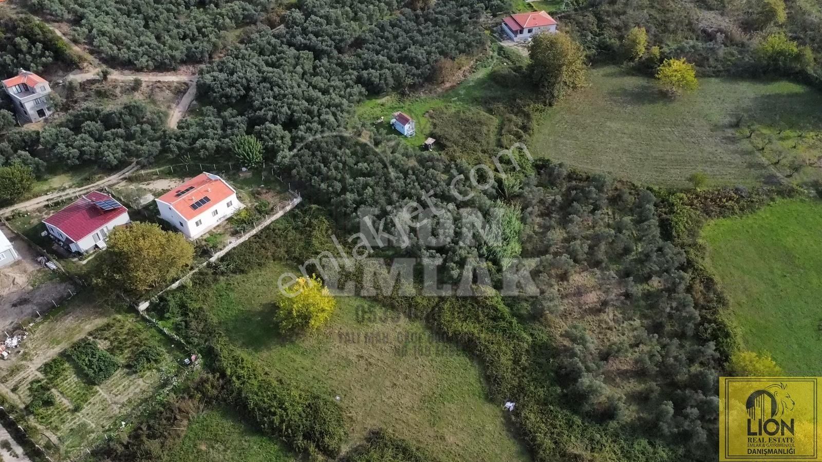 🟨⬛lıon Emlak'tan Erdek Doğanlar Mahallesi Yola Cephe 1942m² Satılık Zeytinlik⬛🟨 - Görsel 7