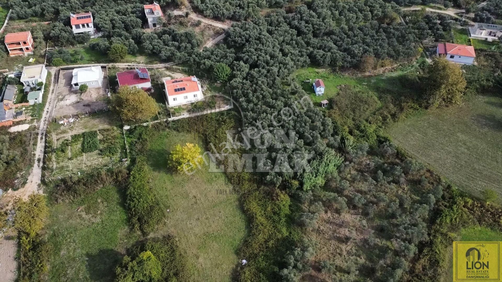 🟨⬛lıon Emlak'tan Erdek Doğanlar Mahallesi Yola Cephe 1942m² Satılık Zeytinlik⬛🟨 - Görsel 4