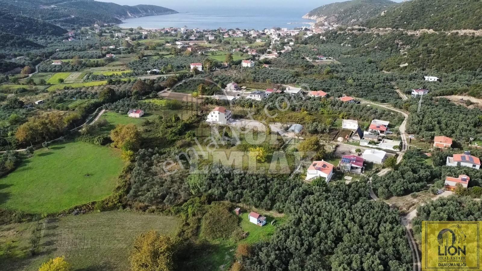🟨⬛lıon Emlak'tan Erdek Doğanlar Mahallesi Yola Cephe 1942m² Satılık Zeytinlik⬛🟨 - Görsel 3