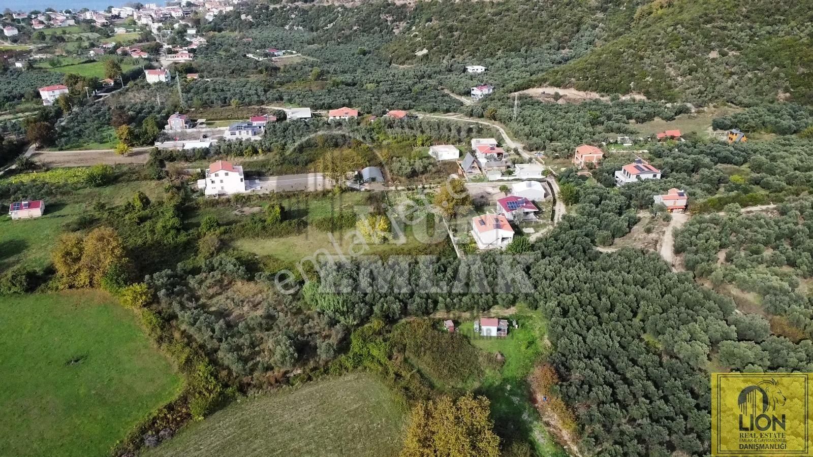 🟨⬛lıon Emlak'tan Erdek Doğanlar Mahallesi Yola Cephe 1942m² Satılık Zeytinlik⬛🟨 - Görsel 12