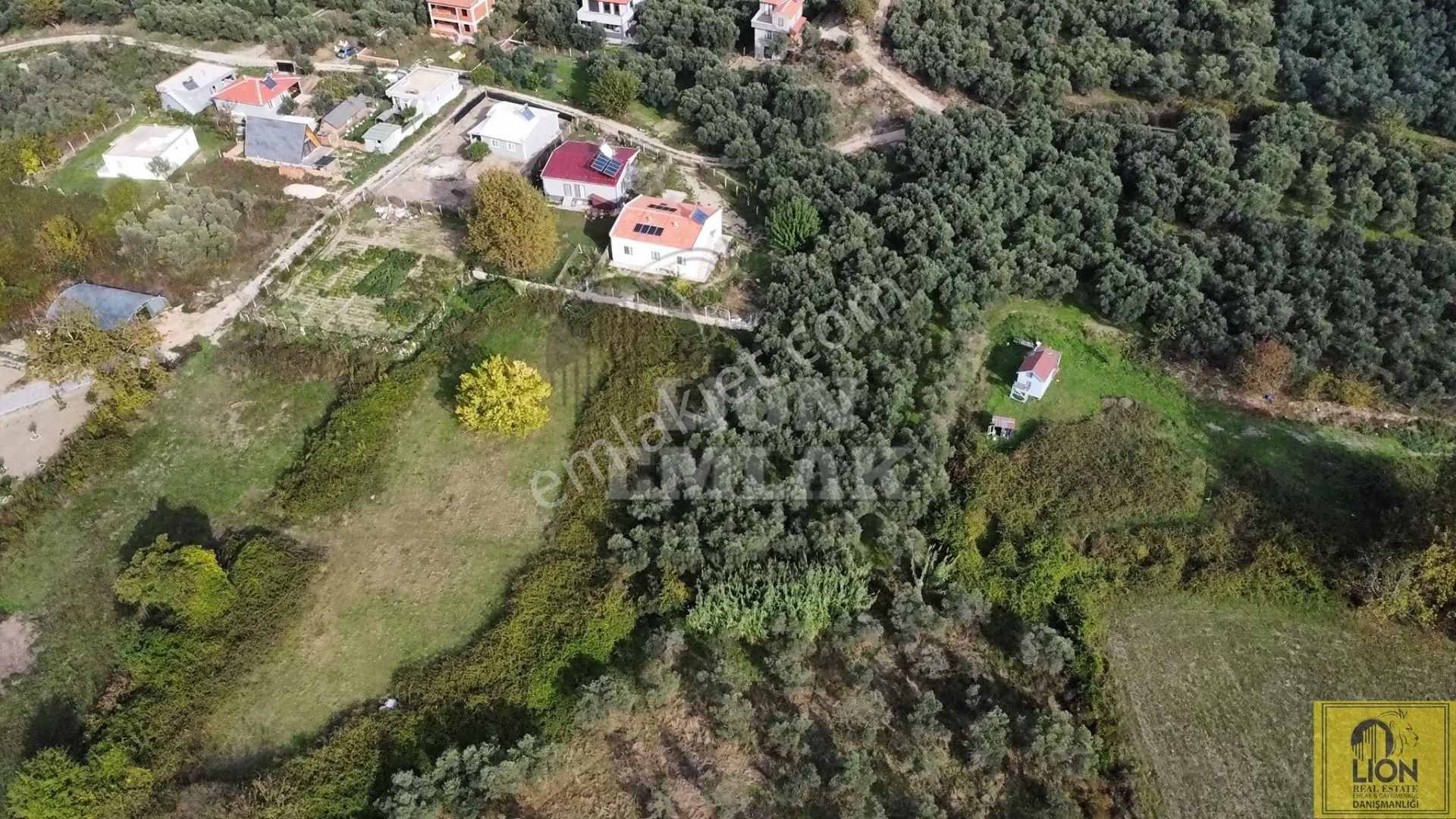 🟨⬛lıon Emlak'tan Erdek Doğanlar Mahallesi Yola Cephe 1942m² Satılık Zeytinlik⬛🟨 - Görsel 11