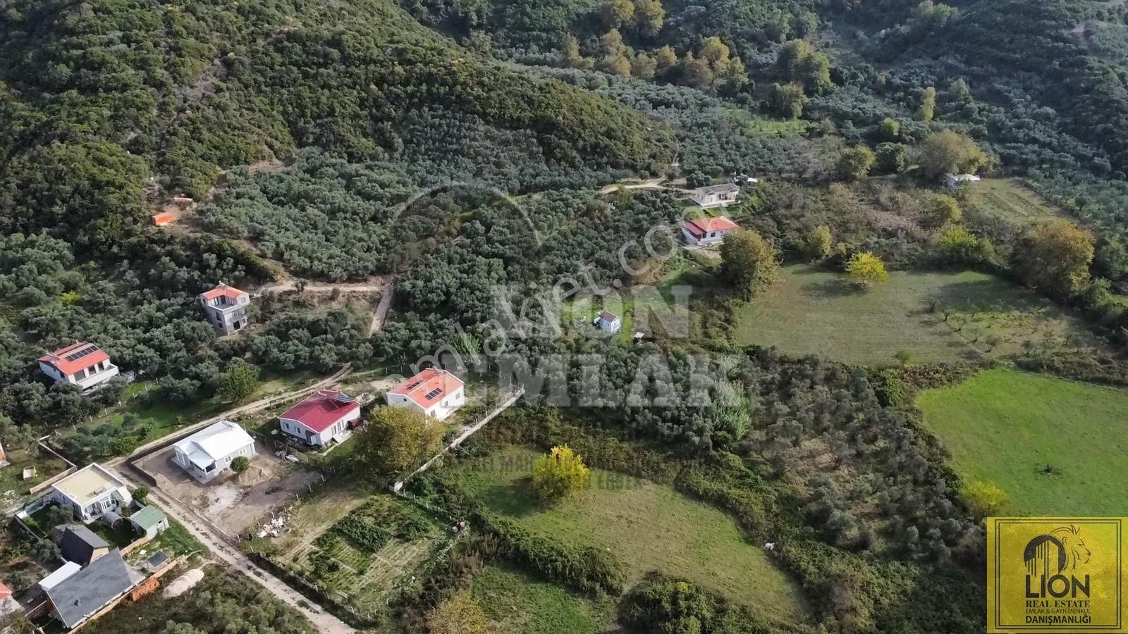 🟨⬛lıon Emlak'tan Erdek Doğanlar Mahallesi Yola Cephe 1942m² Satılık Zeytinlik⬛🟨 - Görsel 9
