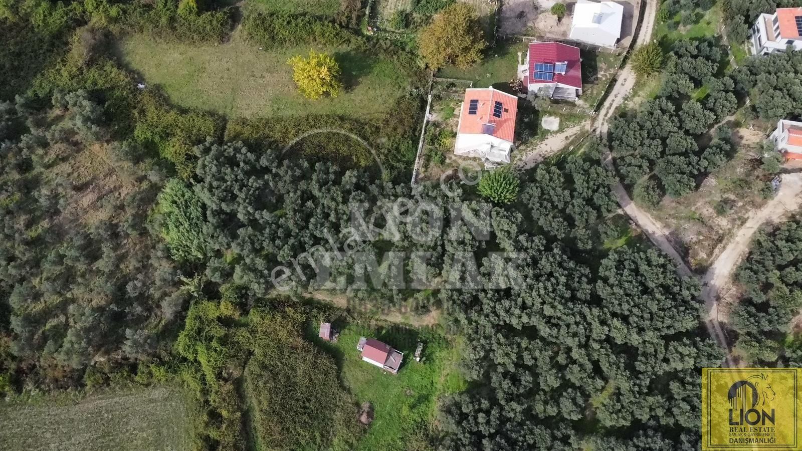 🟨⬛lıon Emlak'tan Erdek Doğanlar Mahallesi Yola Cephe 1942m² Satılık Zeytinlik⬛🟨 - Görsel 5