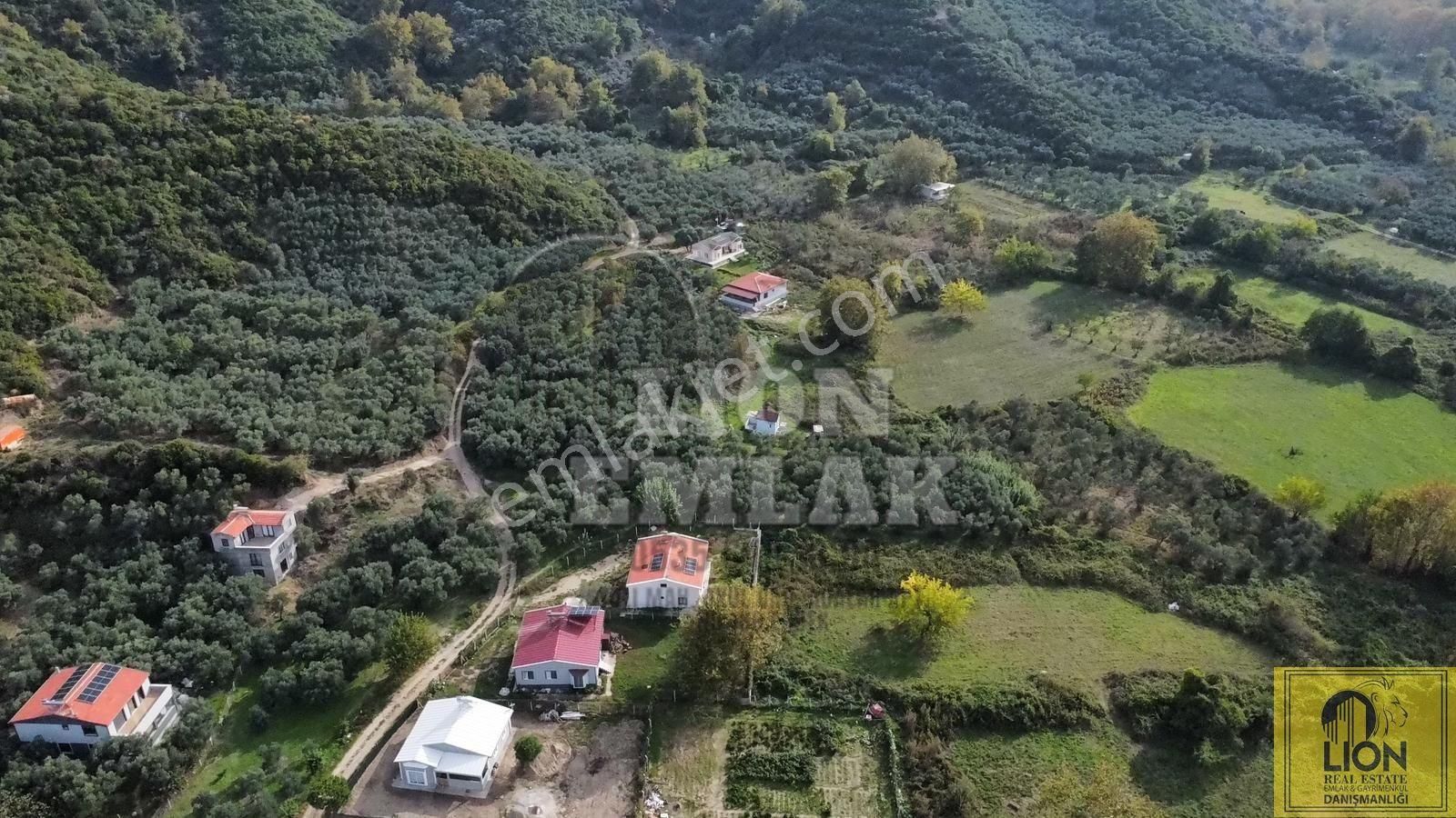 🟨⬛lıon Emlak'tan Erdek Doğanlar Mahallesi Yola Cephe 1942m² Satılık Zeytinlik⬛🟨 - Görsel 8