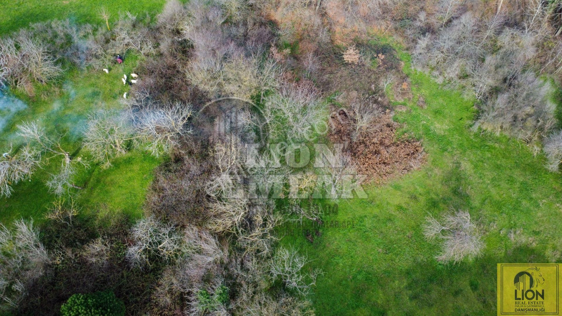 🟨⬛lıon Emlak'tan Erdek Yukarıyapıcı'da 1344 M² Köye Yakın Meyvalık Nitelikli Satılık Arazi⬛🟨 - Görsel 6