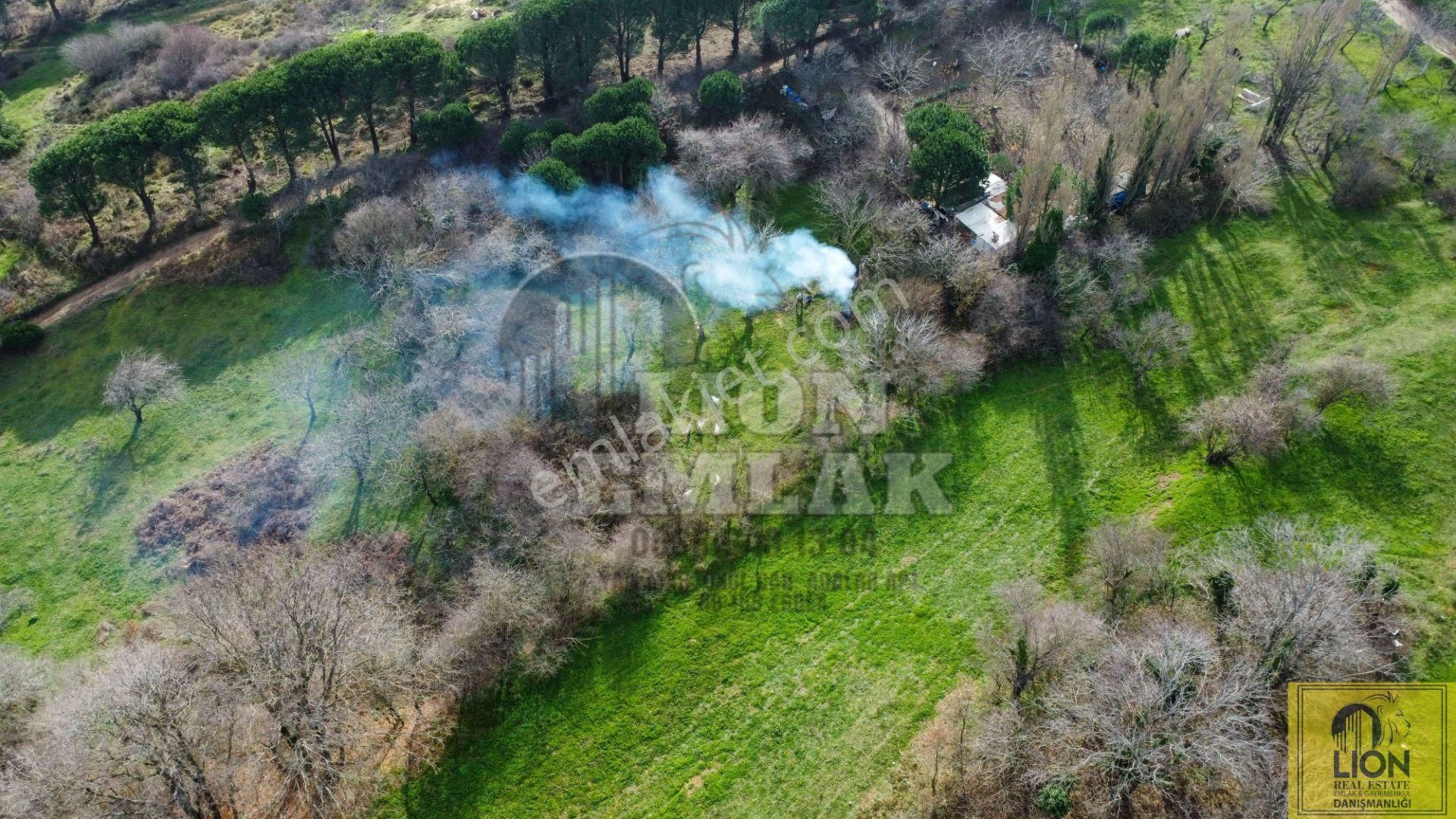 🟨⬛lıon Emlak'tan Erdek Yukarıyapıcı'da 1344 M² Köye Yakın Meyvalık Nitelikli Satılık Arazi⬛🟨 - Görsel 4