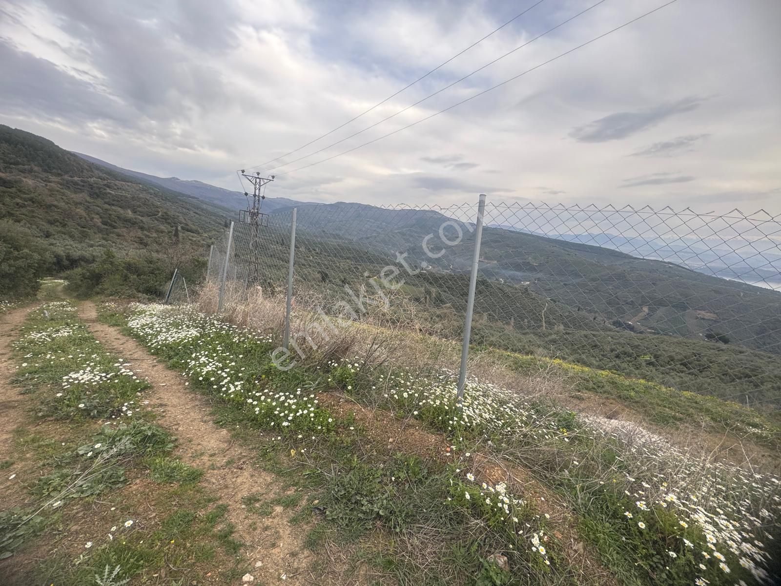 Kumla Konak Emlak;tan Haydariye Yolunda Satılık Arsa - Görsel 9